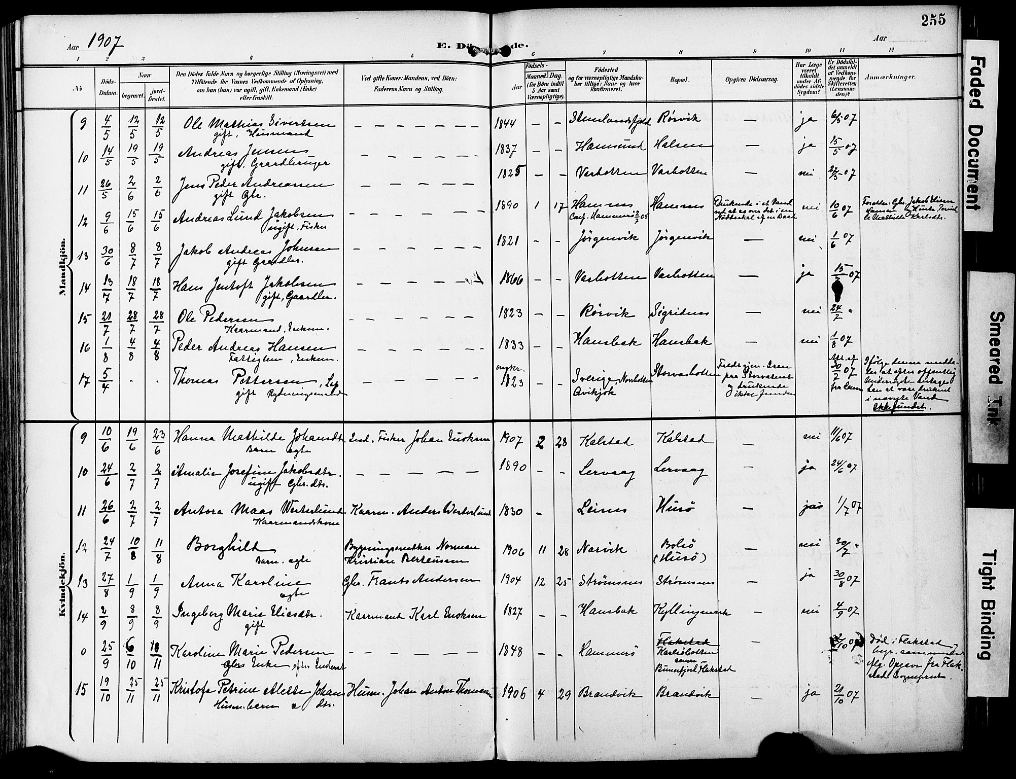 Ministerialprotokoller, klokkerbøker og fødselsregistre - Nordland, AV/SAT-A-1459/859/L0848: Ministerialbok nr. 859A08, 1900-1912, s. 255