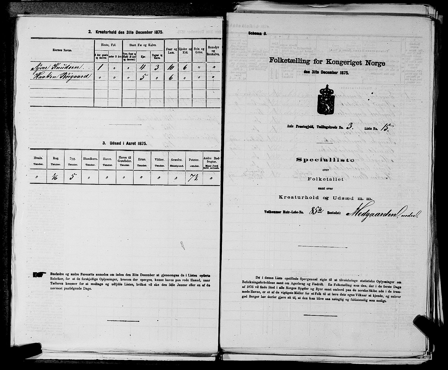 SAKO, Folketelling 1875 for 0619P Ål prestegjeld, 1875, s. 345