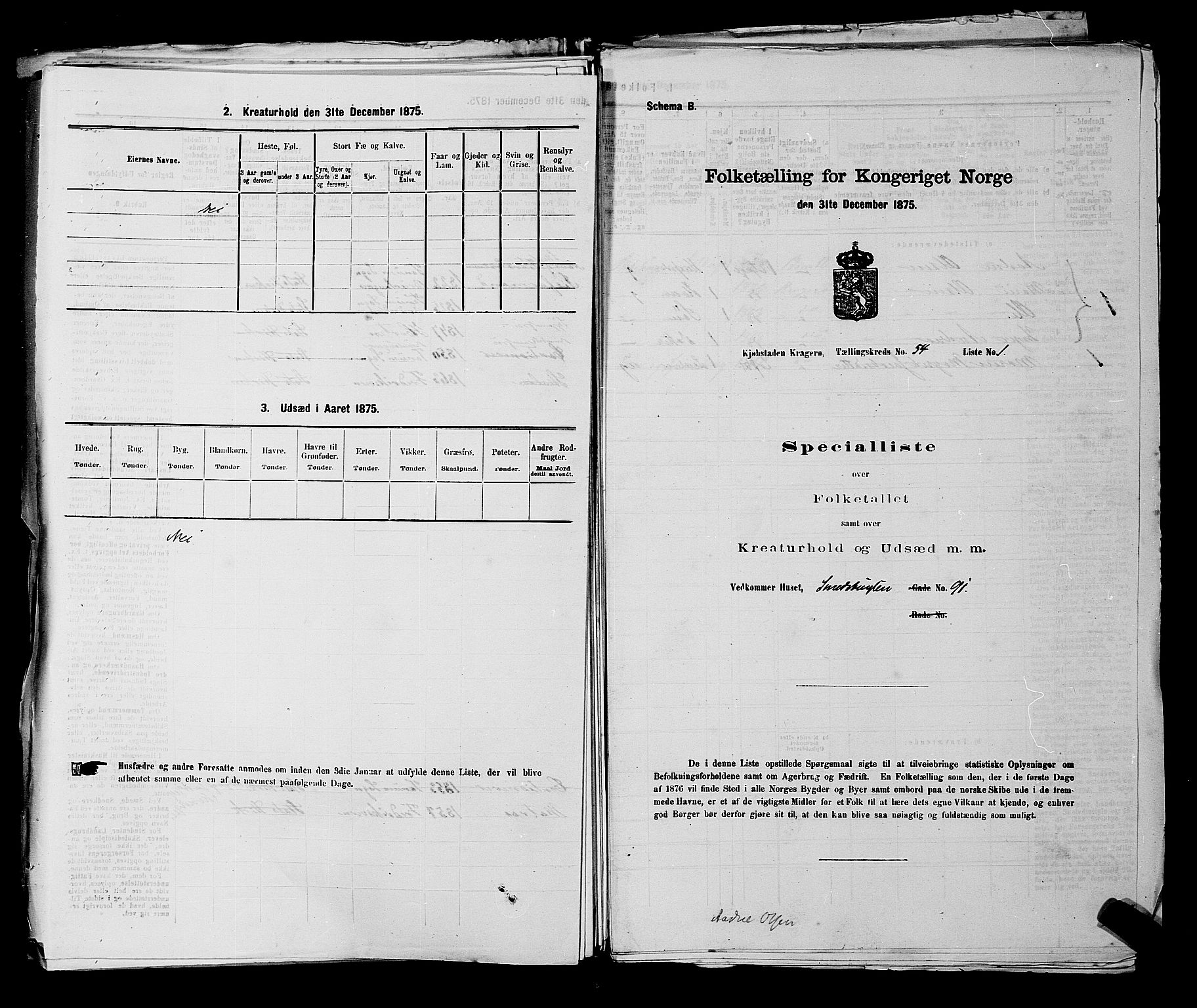 SAKO, Folketelling 1875 for 0801P Kragerø prestegjeld, 1875, s. 1185