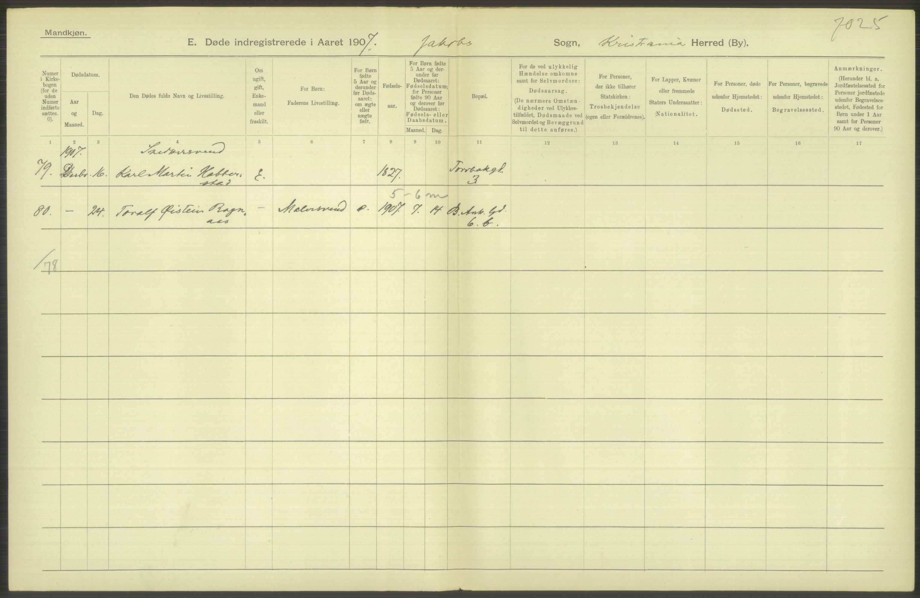 Statistisk sentralbyrå, Sosiodemografiske emner, Befolkning, RA/S-2228/D/Df/Dfa/Dfae/L0010: Kristiania: Døde, dødfødte, 1907, s. 316