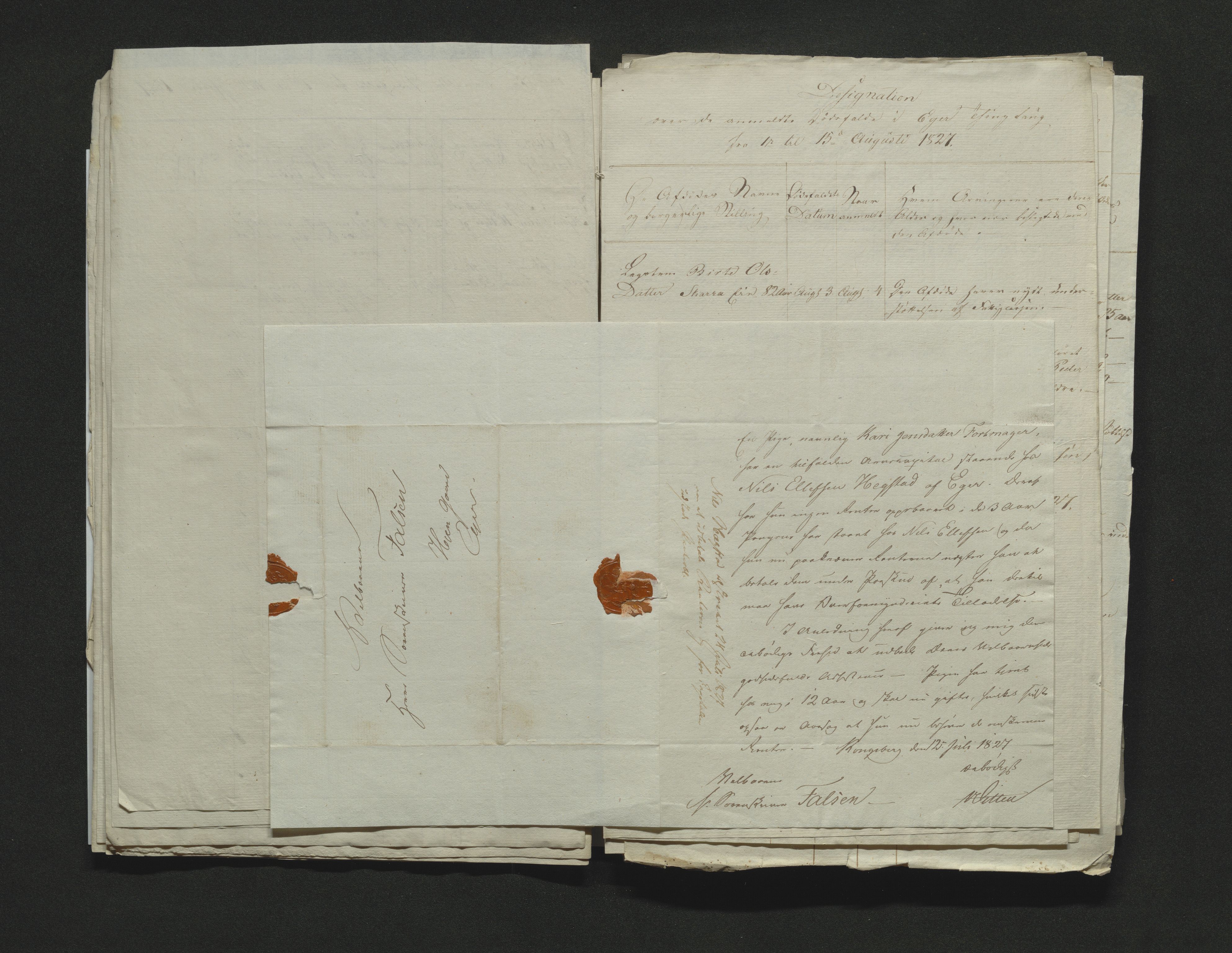Eiker, Modum og Sigdal sorenskriveri, AV/SAKO-A-123/H/Ha/Hab/L0002: Dødsfallsmeldinger, 1823-1829, s. 166
