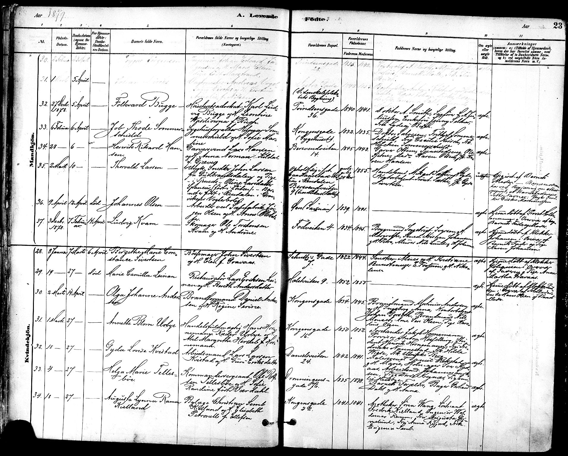 Ministerialprotokoller, klokkerbøker og fødselsregistre - Sør-Trøndelag, SAT/A-1456/601/L0057: Ministerialbok nr. 601A25, 1877-1891, s. 23