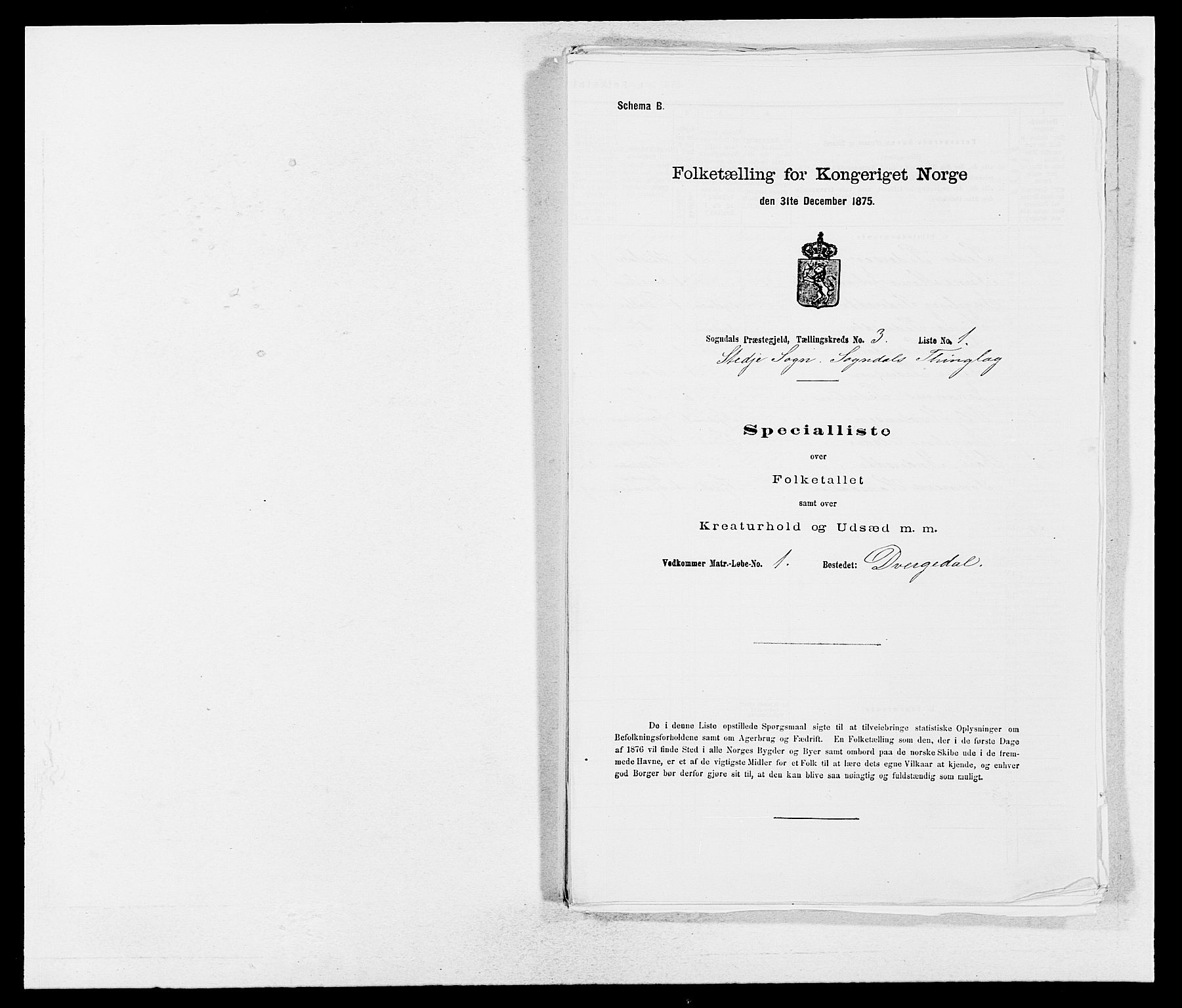 SAB, Folketelling 1875 for 1420P Sogndal prestegjeld, 1875, s. 206