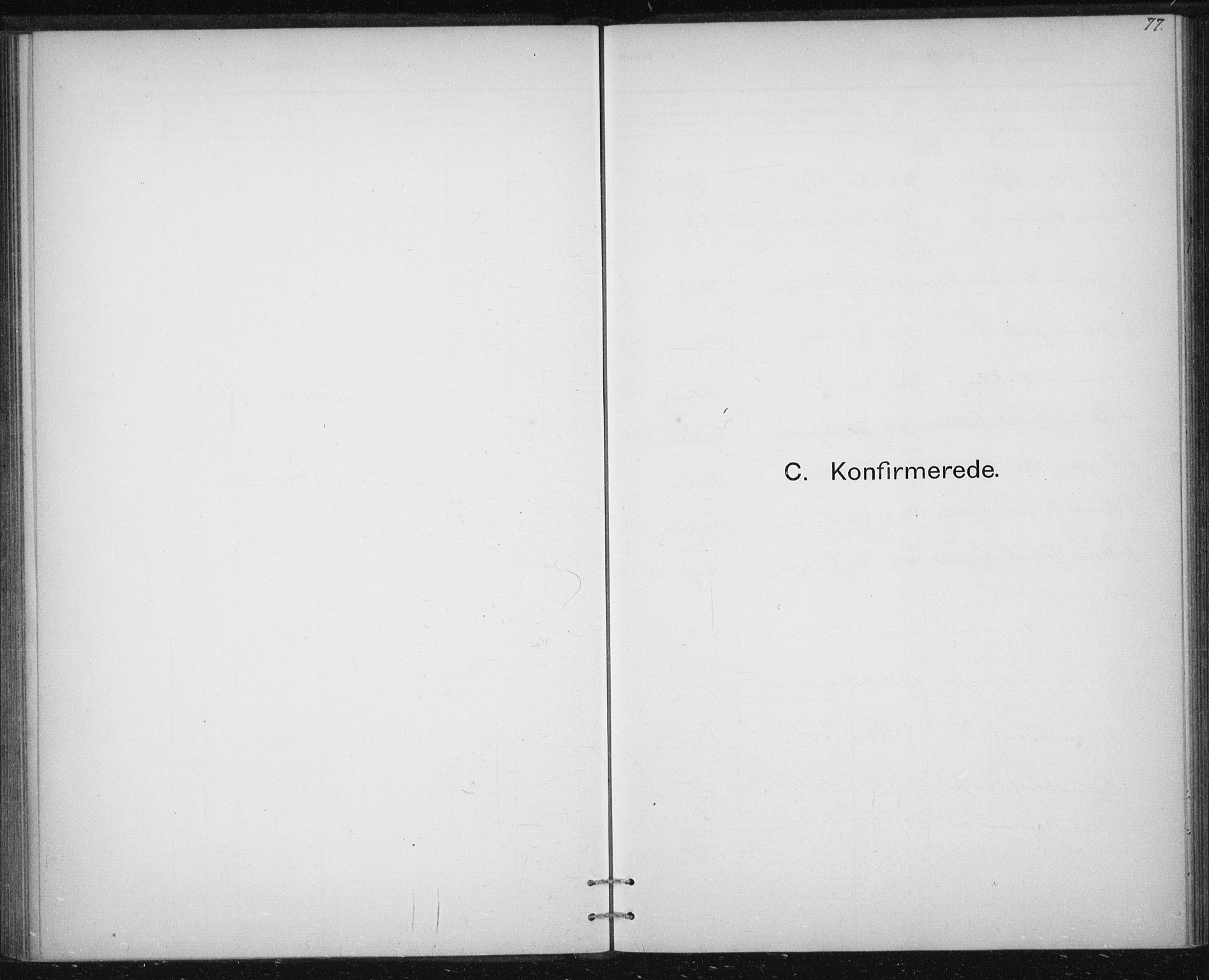 Ministerialprotokoller, klokkerbøker og fødselsregistre - Sør-Trøndelag, AV/SAT-A-1456/613/L0392: Ministerialbok nr. 613A01, 1887-1906, s. 77