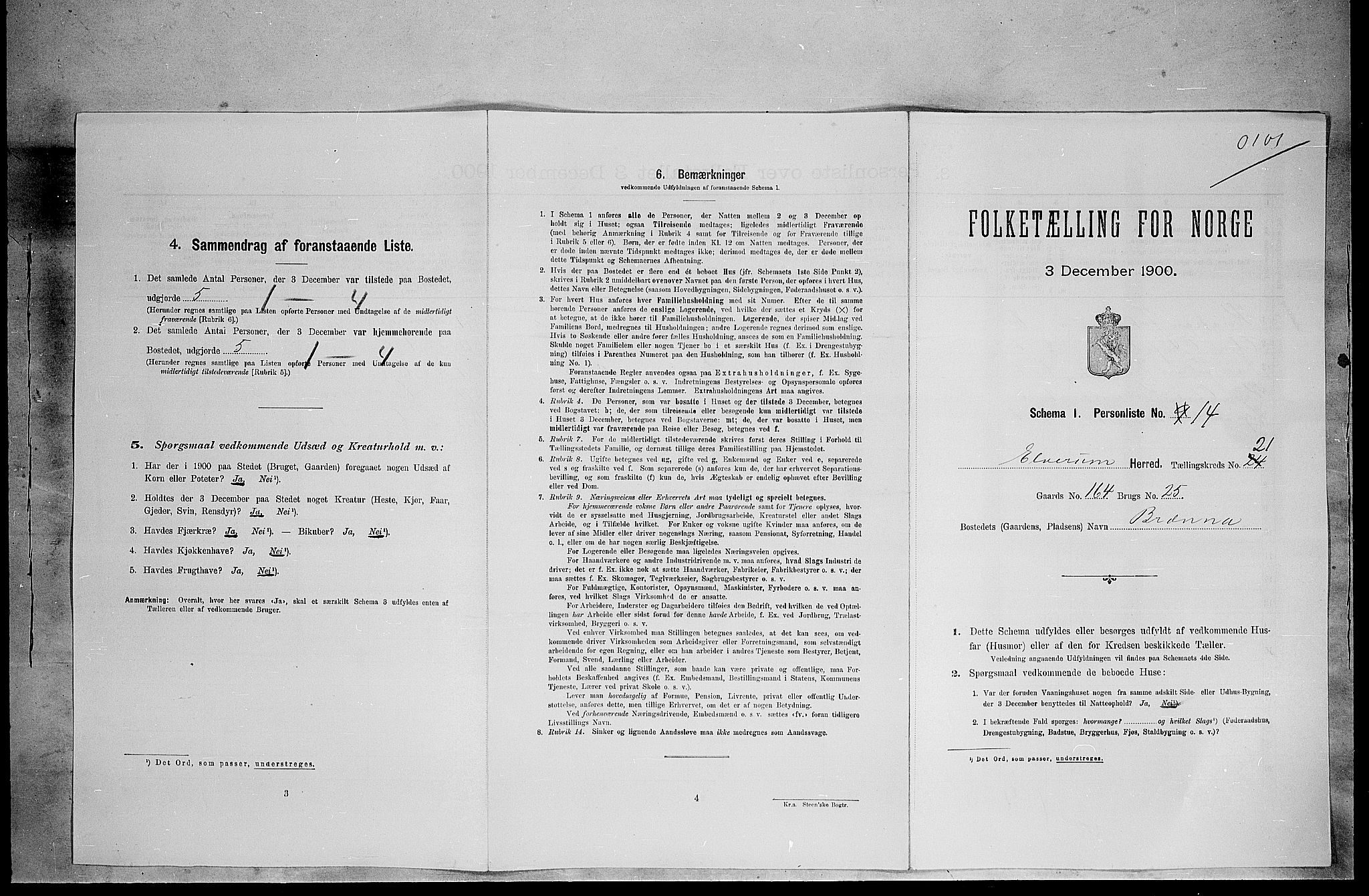 SAH, Folketelling 1900 for 0427 Elverum herred, 1900, s. 2754