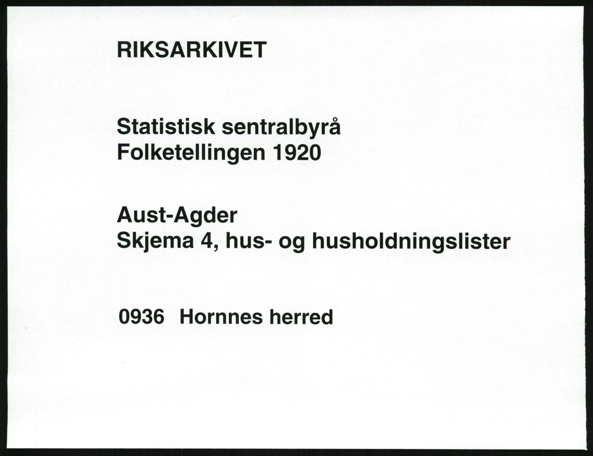 SAK, Folketelling 1920 for 0936 Hornnes herred, 1920, s. 53