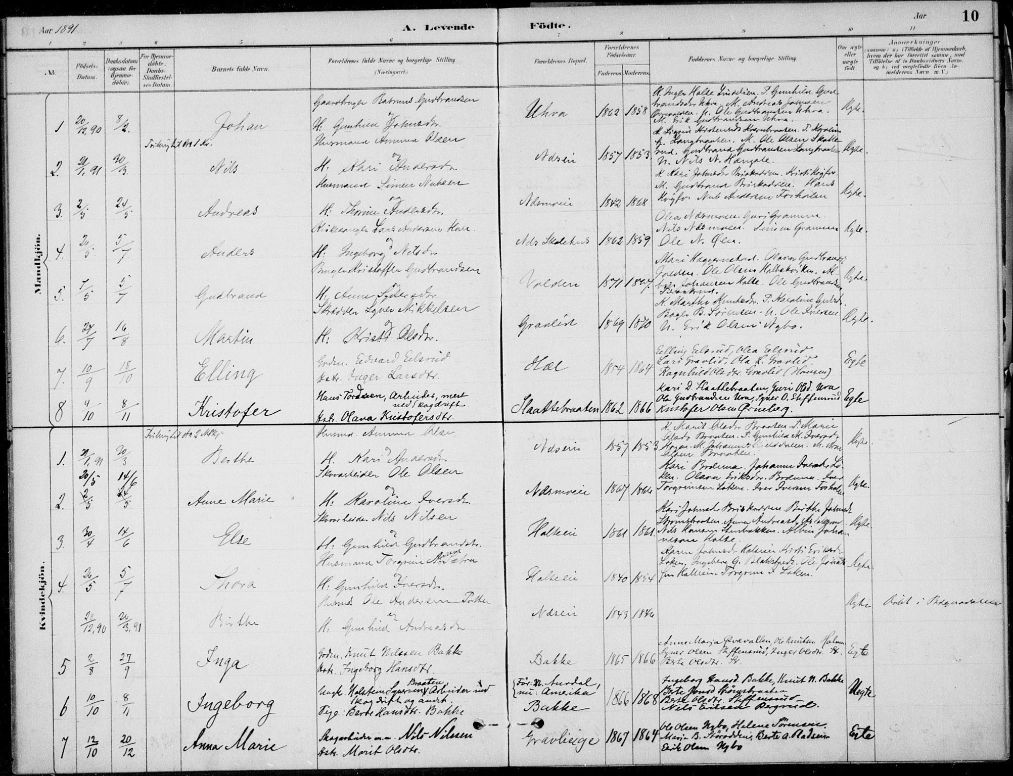 Ådal kirkebøker, AV/SAKO-A-248/F/Fa/L0004: Ministerialbok nr. I 4, 1884-1904, s. 10
