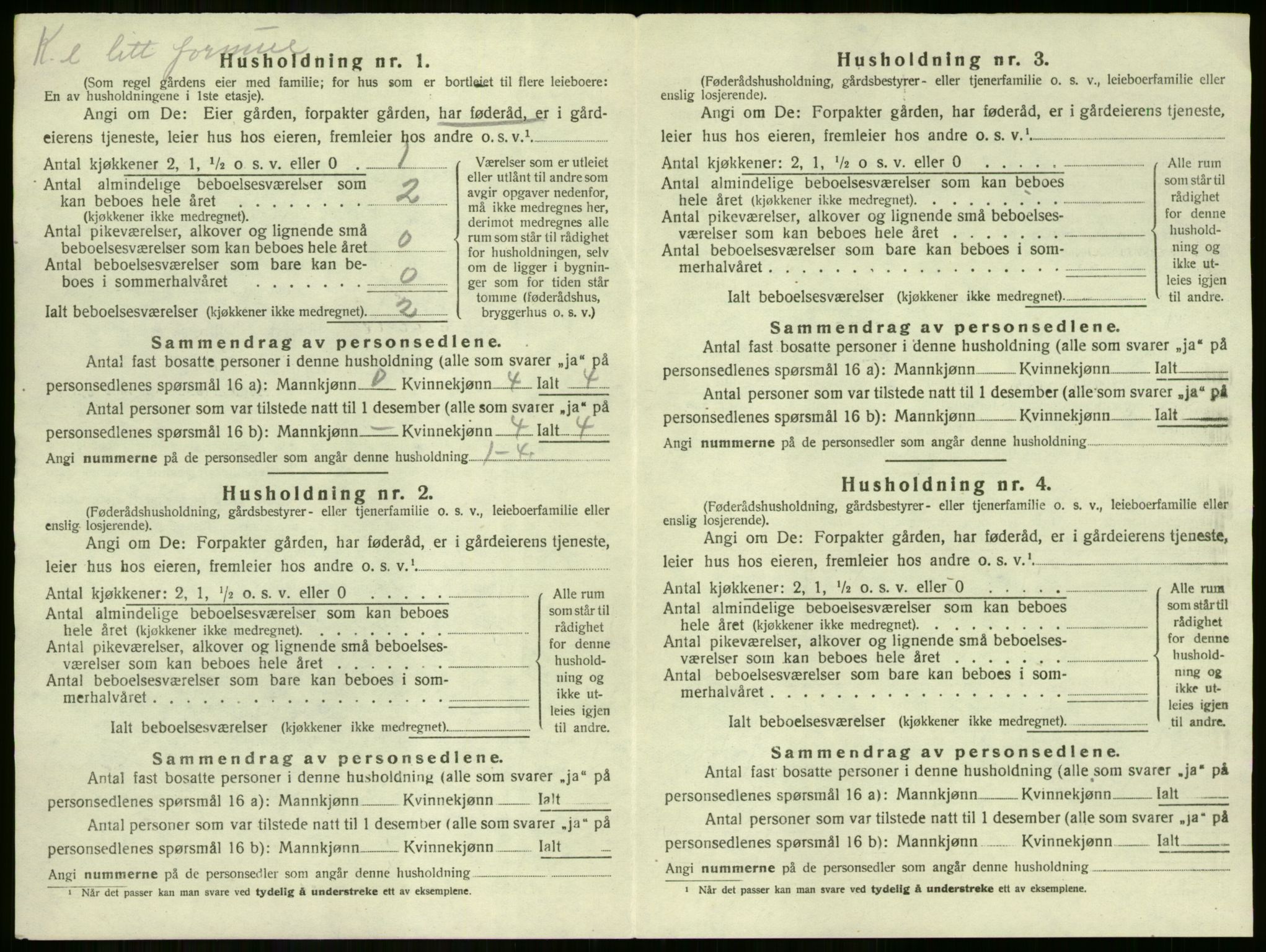 SAKO, Folketelling 1920 for 0612 Hole herred, 1920, s. 964