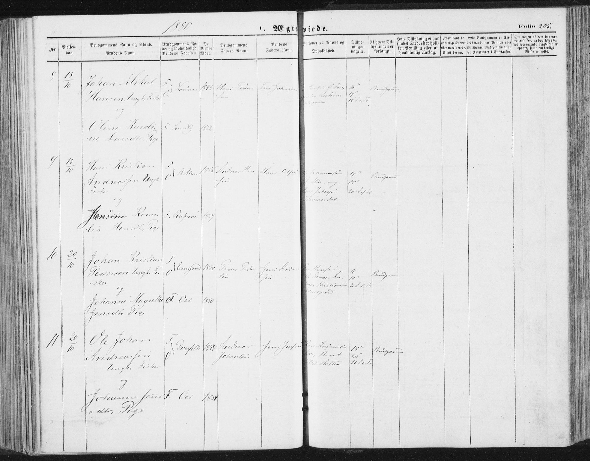 Ministerialprotokoller, klokkerbøker og fødselsregistre - Nordland, AV/SAT-A-1459/847/L0668: Ministerialbok nr. 847A08, 1872-1886, s. 205