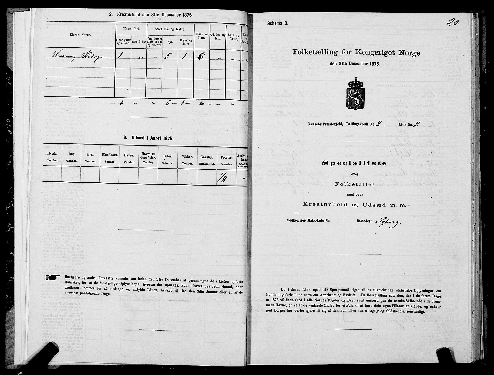 SATØ, Folketelling 1875 for 2027P Nesseby prestegjeld, 1875, s. 2020