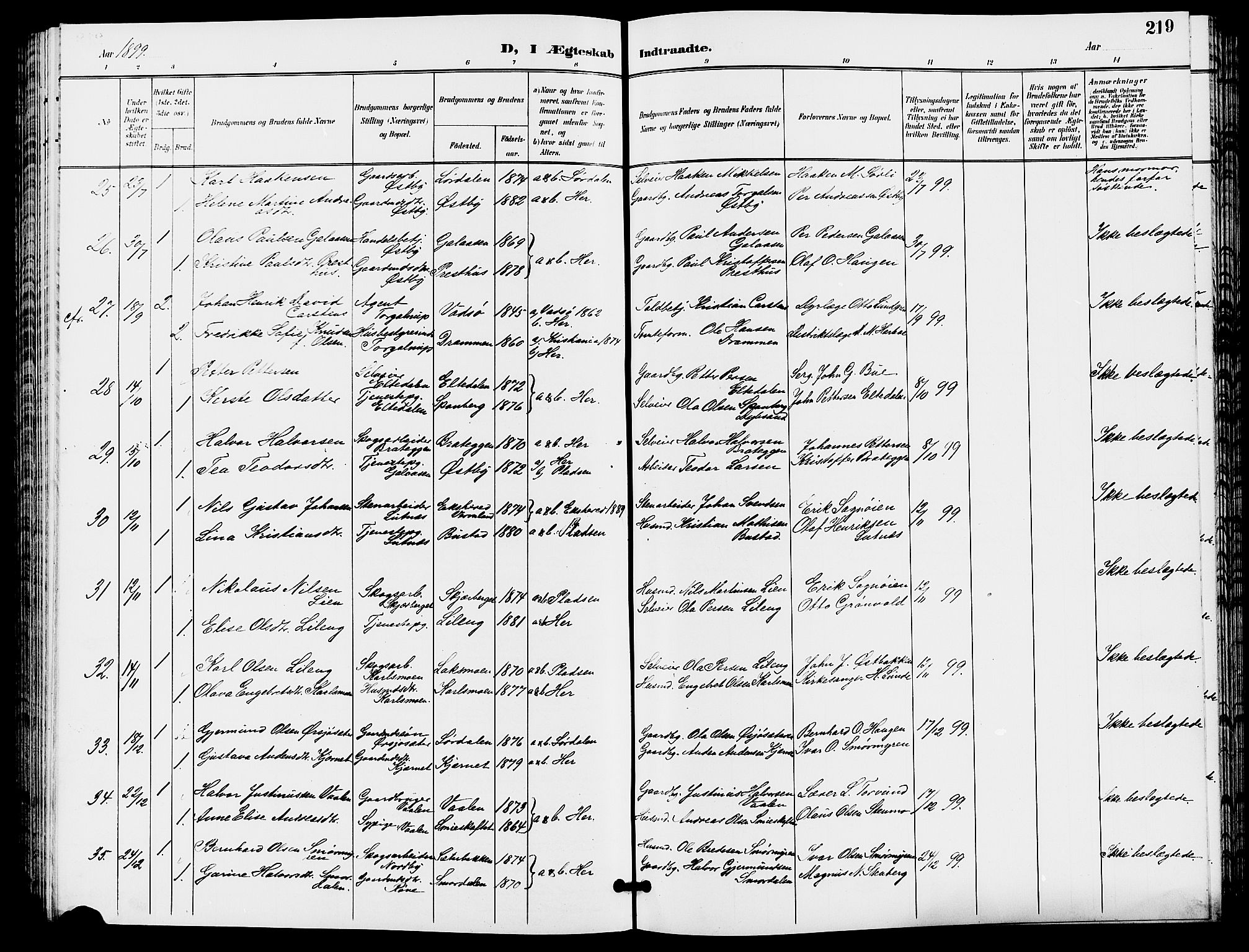 Trysil prestekontor, AV/SAH-PREST-046/H/Ha/Hab/L0006: Klokkerbok nr. 6, 1896-1912, s. 219