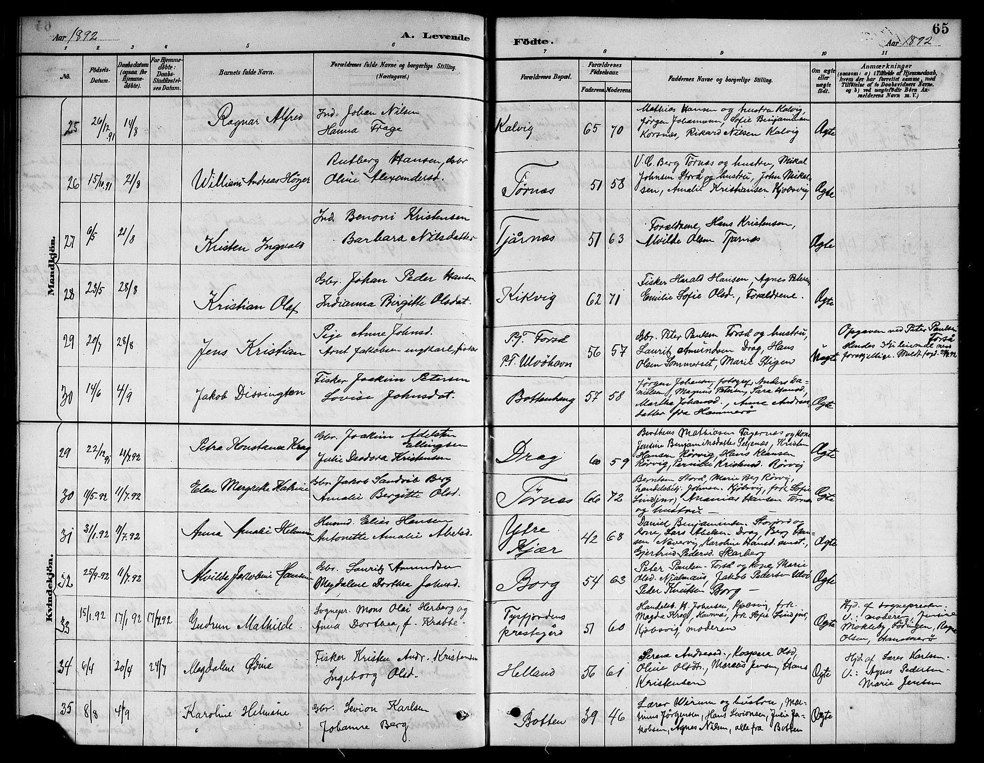 Ministerialprotokoller, klokkerbøker og fødselsregistre - Nordland, AV/SAT-A-1459/861/L0876: Klokkerbok nr. 861C02, 1887-1903, s. 65