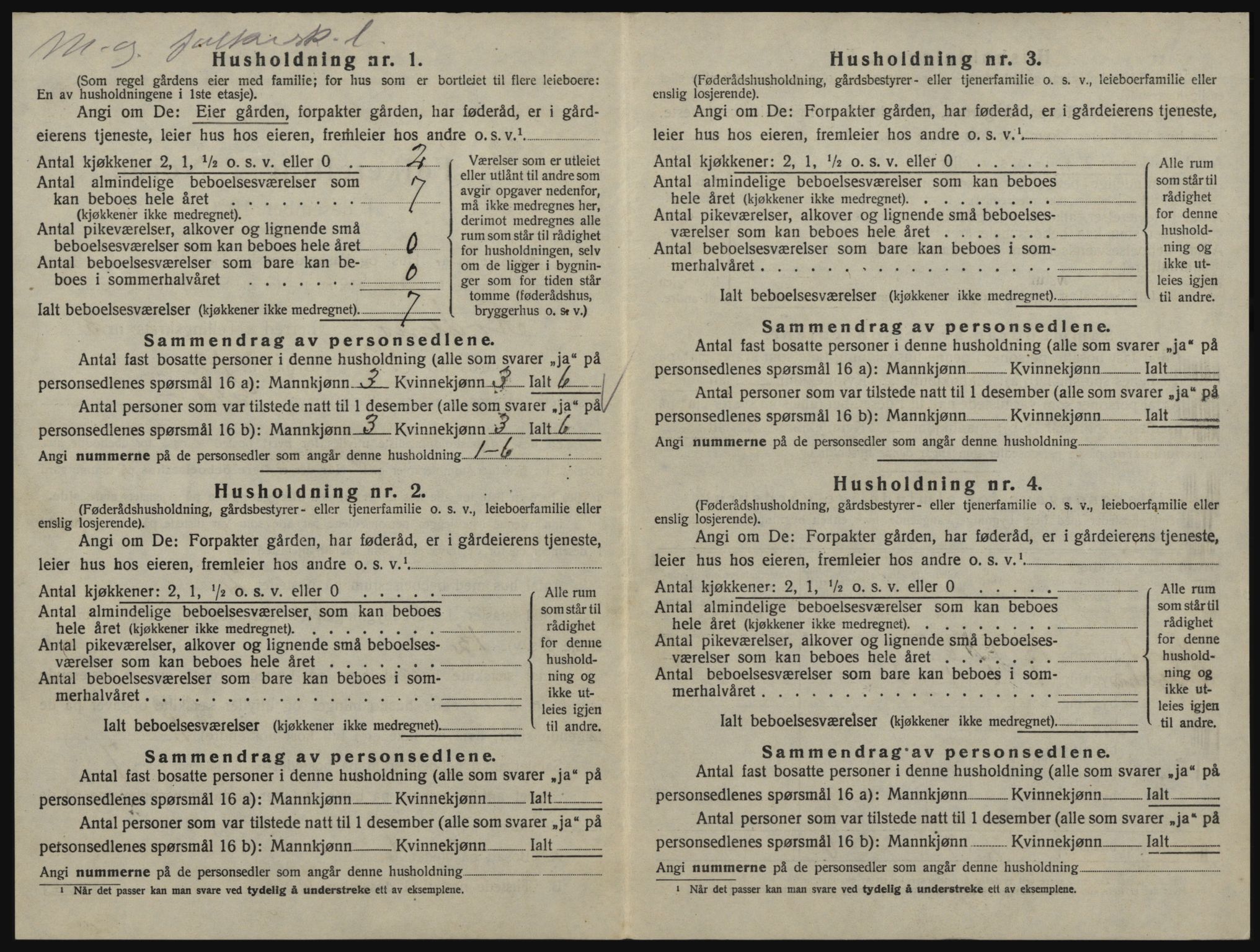 SAO, Folketelling 1920 for 0120 Rødenes herred, 1920, s. 377