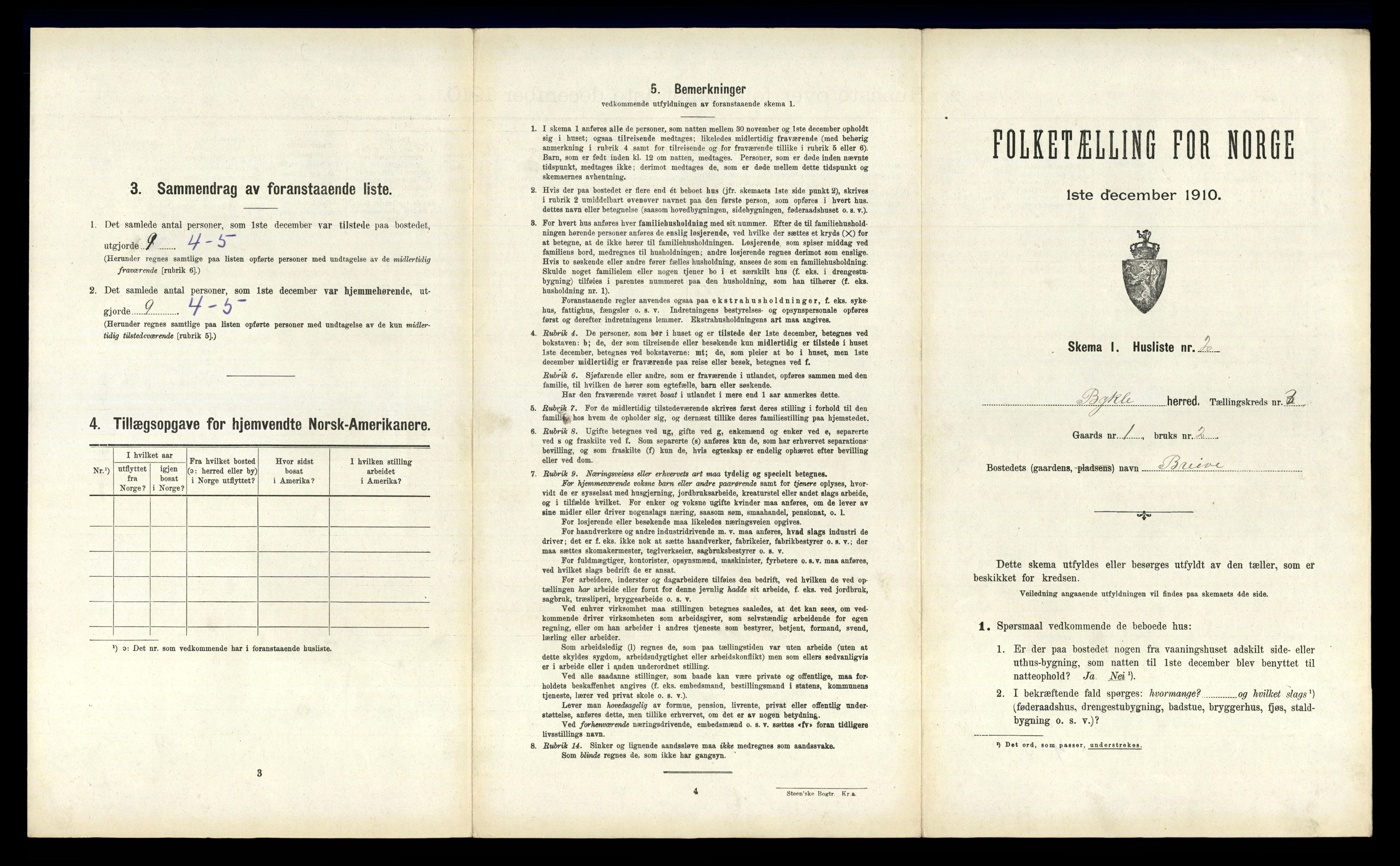 RA, Folketelling 1910 for 0941 Bykle herred, 1910, s. 153