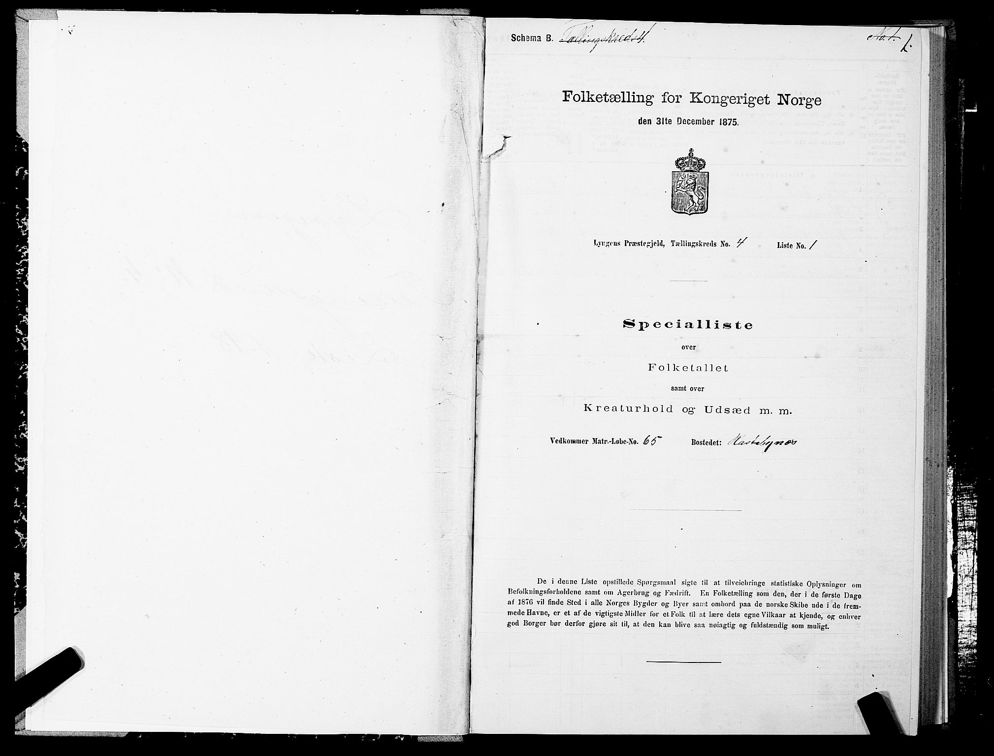 SATØ, Folketelling 1875 for 1938P Lyngen prestegjeld, 1875, s. 4001
