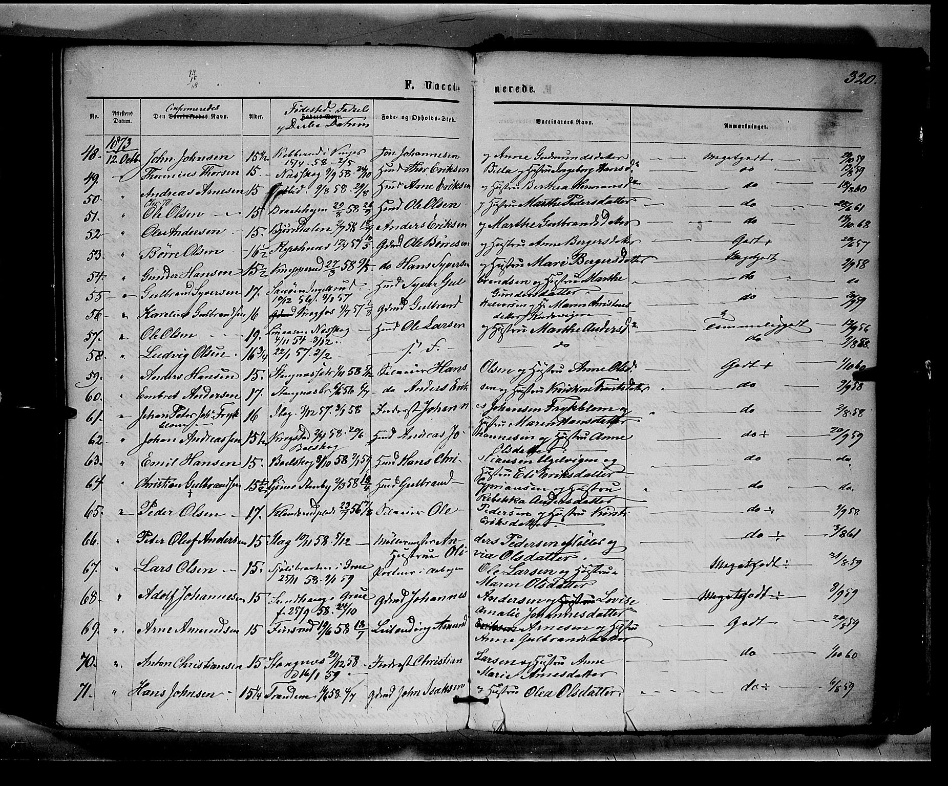 Eidskog prestekontor, AV/SAH-PREST-026/H/Ha/Haa/L0002: Ministerialbok nr. 2, 1867-1878, s. 320