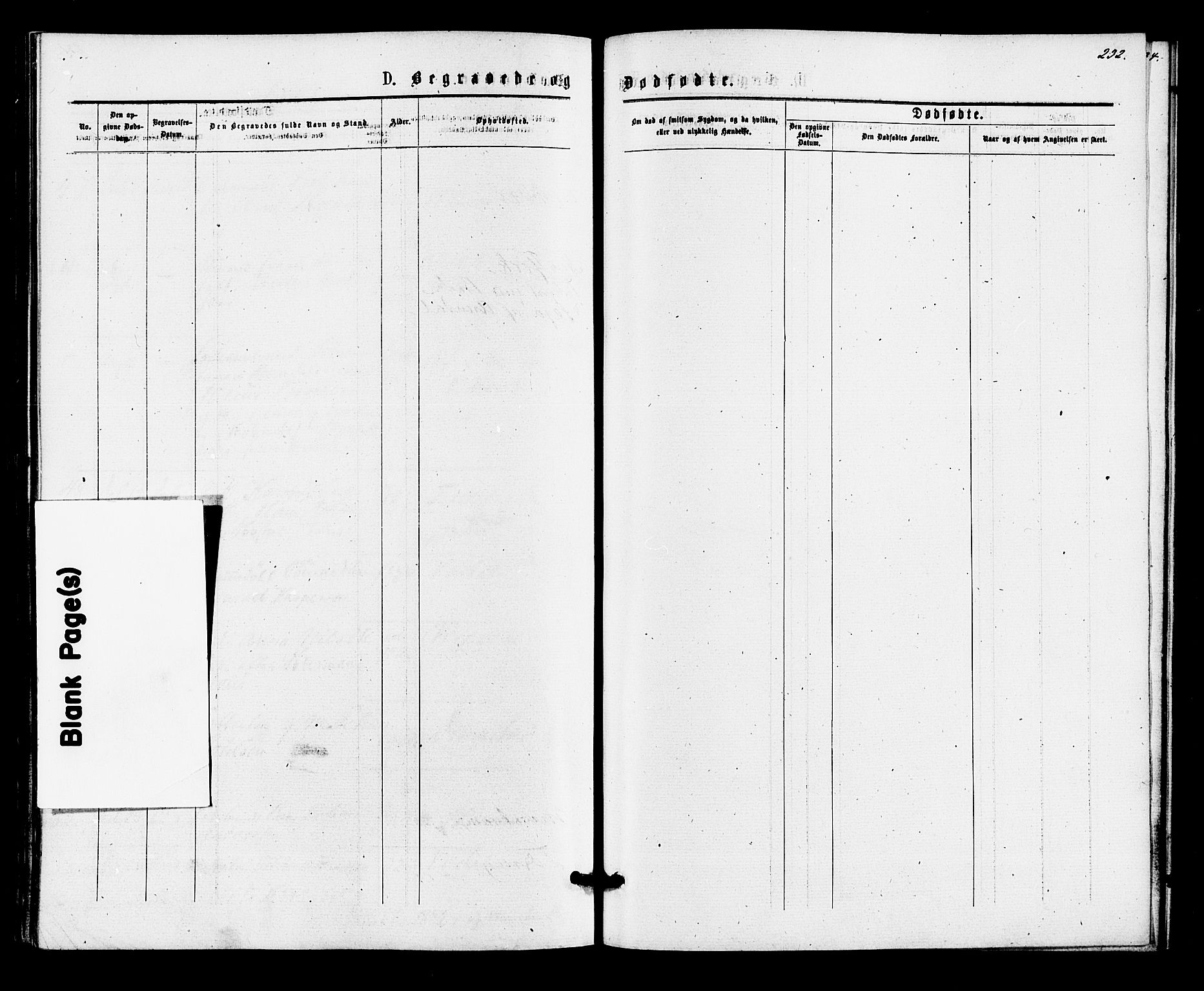 Hurum kirkebøker, AV/SAKO-A-229/F/Fa/L0013: Ministerialbok nr. 13, 1876-1881, s. 238