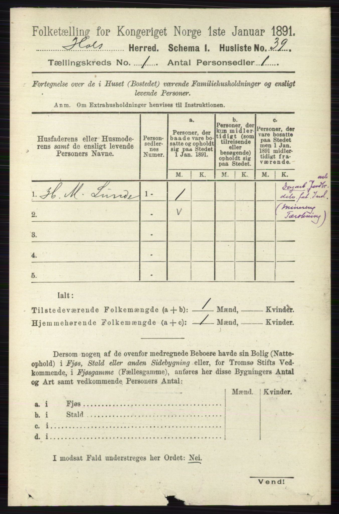 RA, Folketelling 1891 for 0620 Hol herred, 1891, s. 65