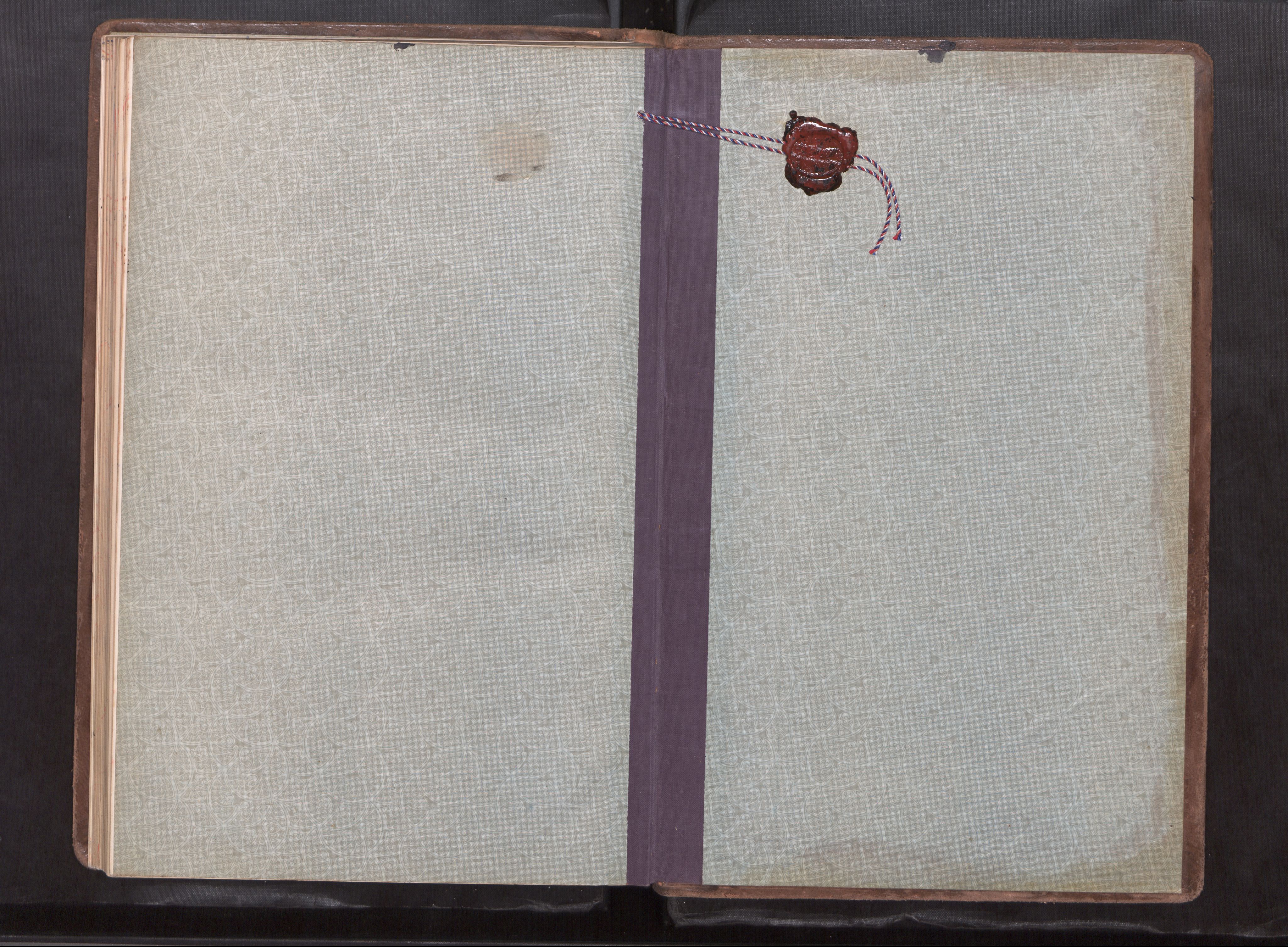 Ministerialprotokoller, klokkerbøker og fødselsregistre - Møre og Romsdal, AV/SAT-A-1454/511/L0147: Dagsregister nr. 511---, 1920-1929