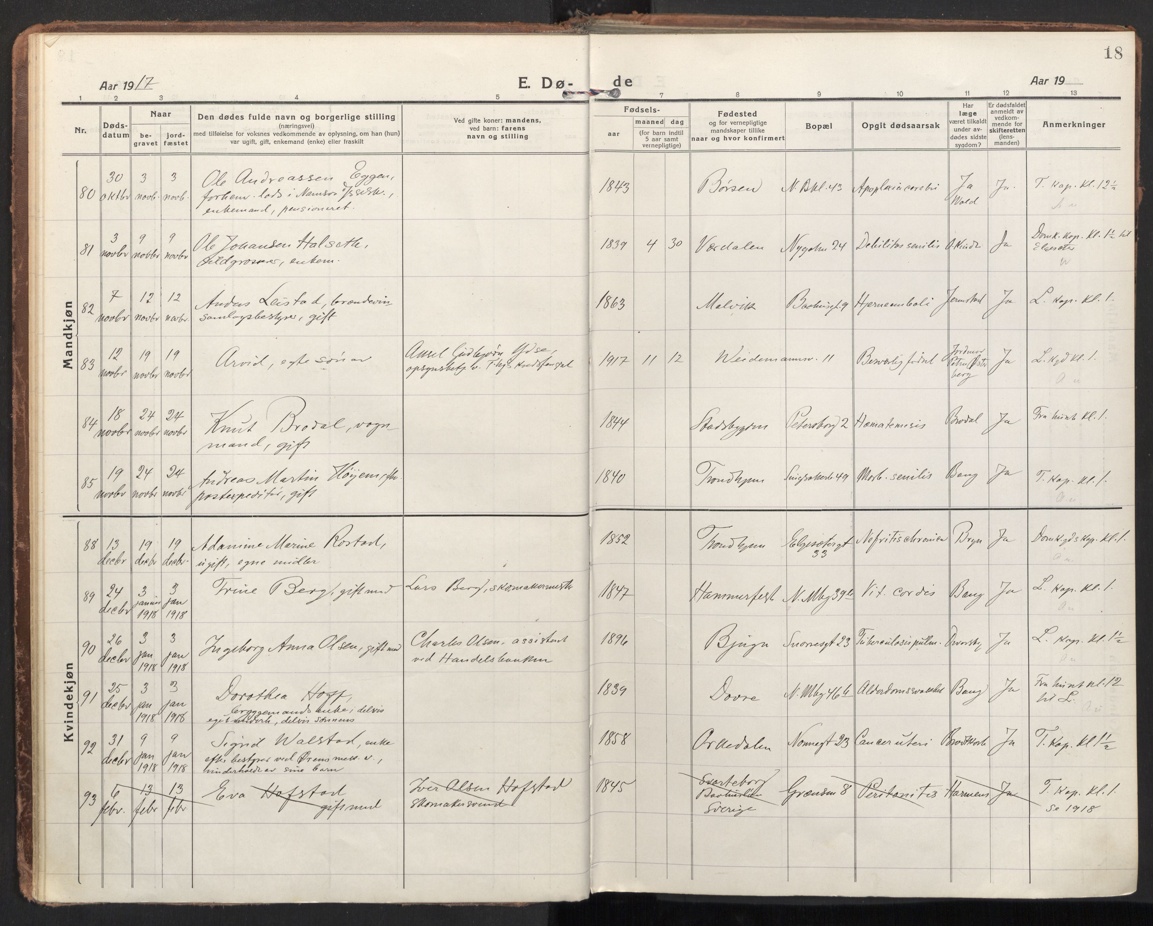 Ministerialprotokoller, klokkerbøker og fødselsregistre - Sør-Trøndelag, AV/SAT-A-1456/604/L0207: Ministerialbok nr. 604A27, 1917-1933, s. 18