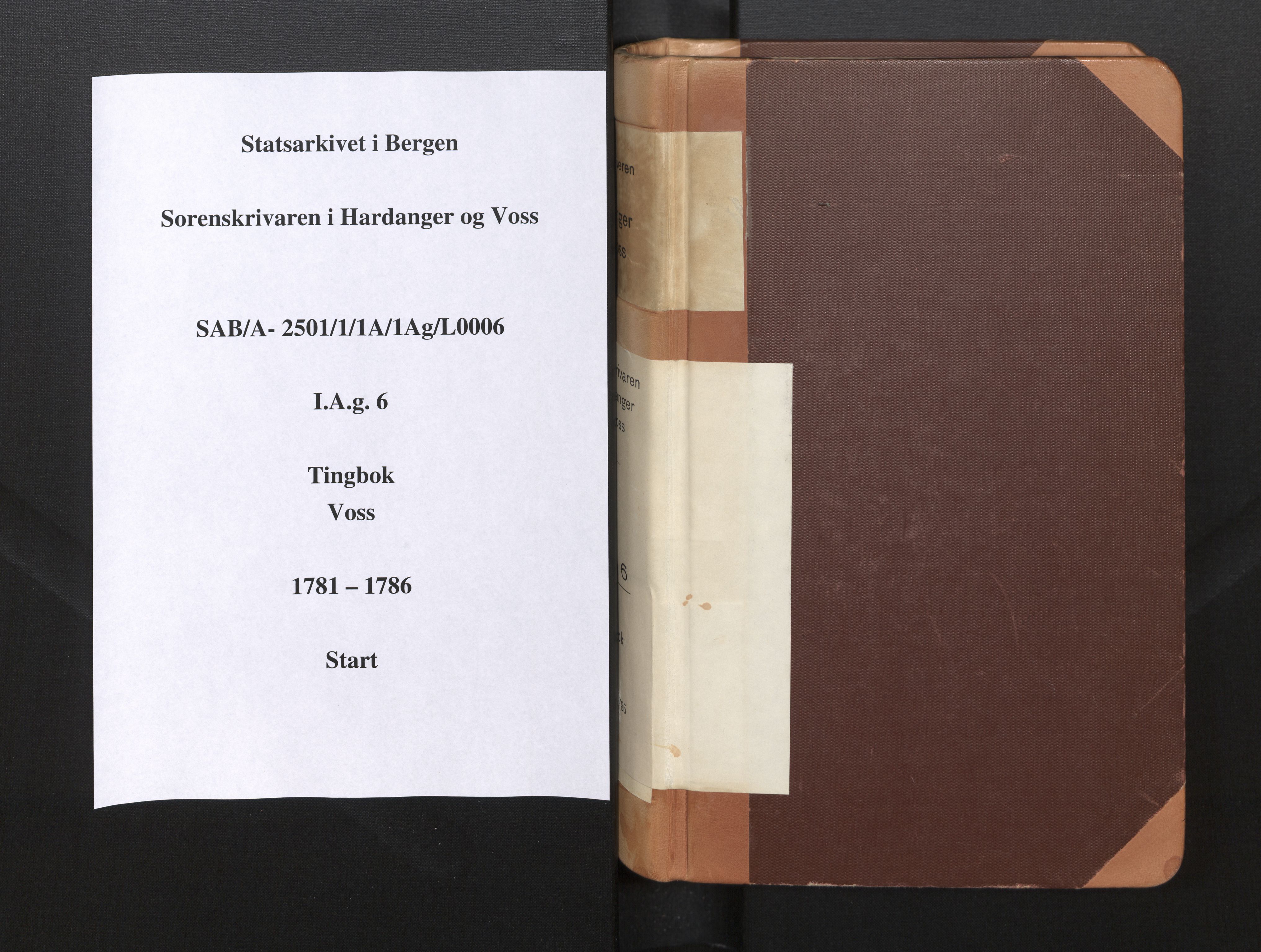 Hardanger og Voss sorenskriveri, SAB/A-2501/1/1A/1Ag/L0006: Tingbok for Voss, 1781-1786