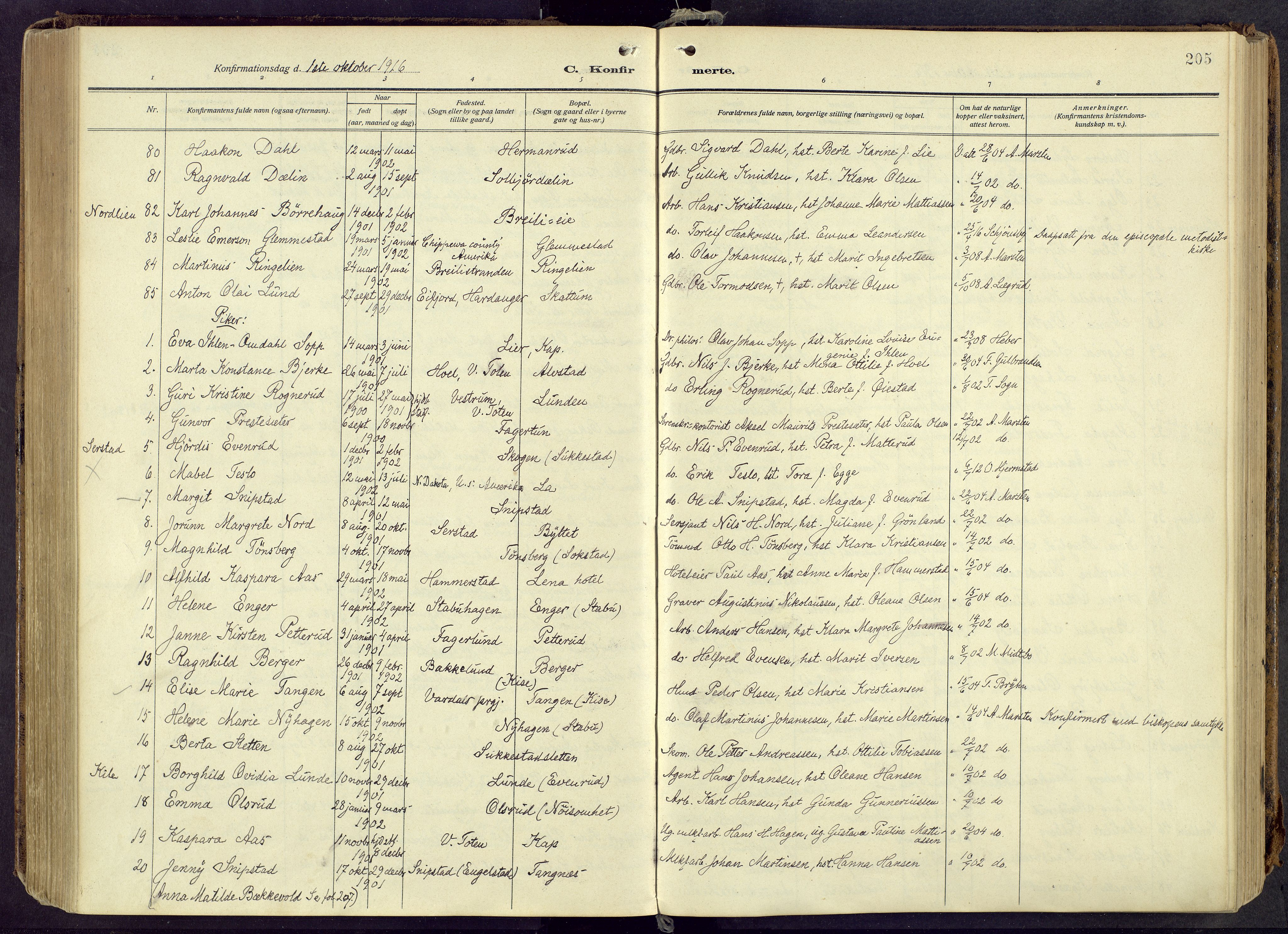 Østre Toten prestekontor, AV/SAH-PREST-104/H/Ha/Haa/L0010: Ministerialbok nr. 10, 1910-1920, s. 205
