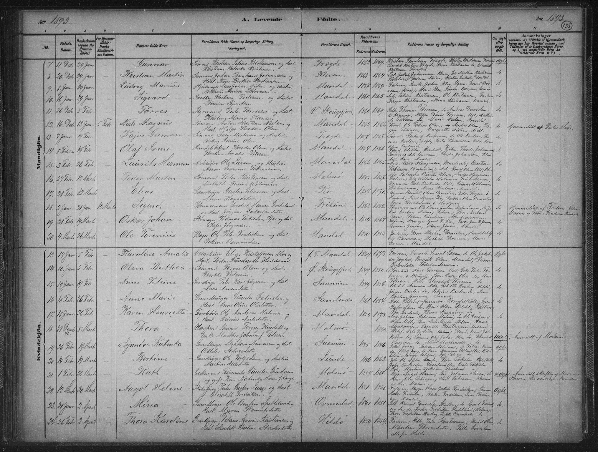 Mandal sokneprestkontor, AV/SAK-1111-0030/F/Fb/Fba/L0011: Klokkerbok nr. B 5, 1880-1898, s. 136