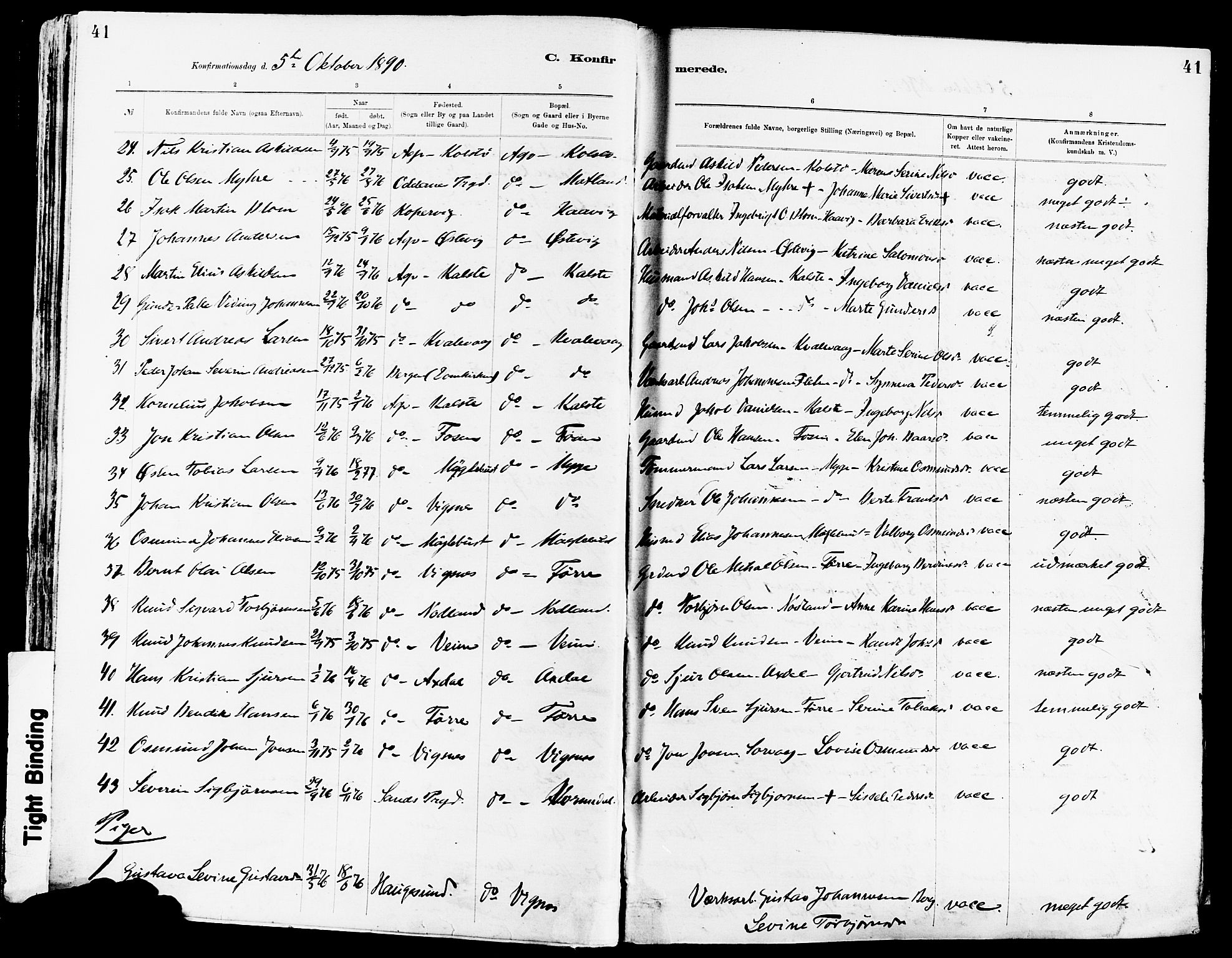 Avaldsnes sokneprestkontor, AV/SAST-A -101851/H/Ha/Haa/L0015: Ministerialbok nr. A 15, 1880-1906, s. 41
