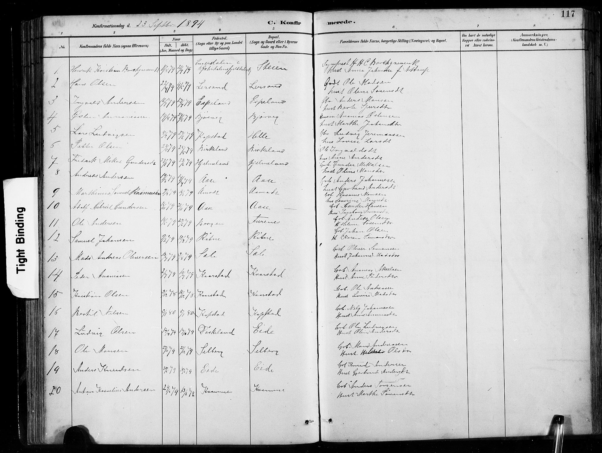 Gaular sokneprestembete, AV/SAB-A-80001/H/Hab: Klokkerbok nr. B 3, 1882-1913, s. 117