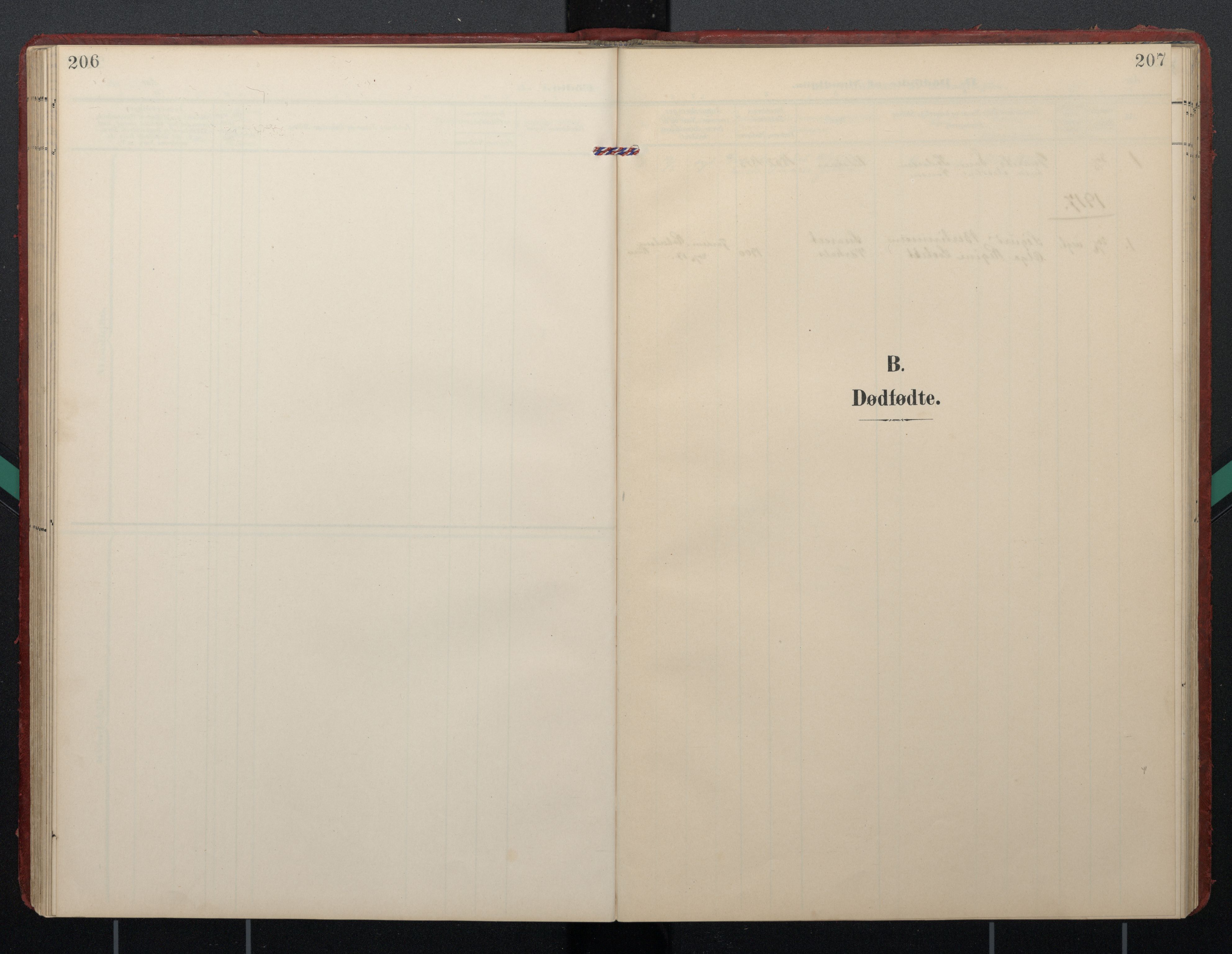 Ministerialprotokoller, klokkerbøker og fødselsregistre - Nordland, AV/SAT-A-1459/892/L1322: Ministerialbok nr. 892A03, 1904-1921, s. 206-207