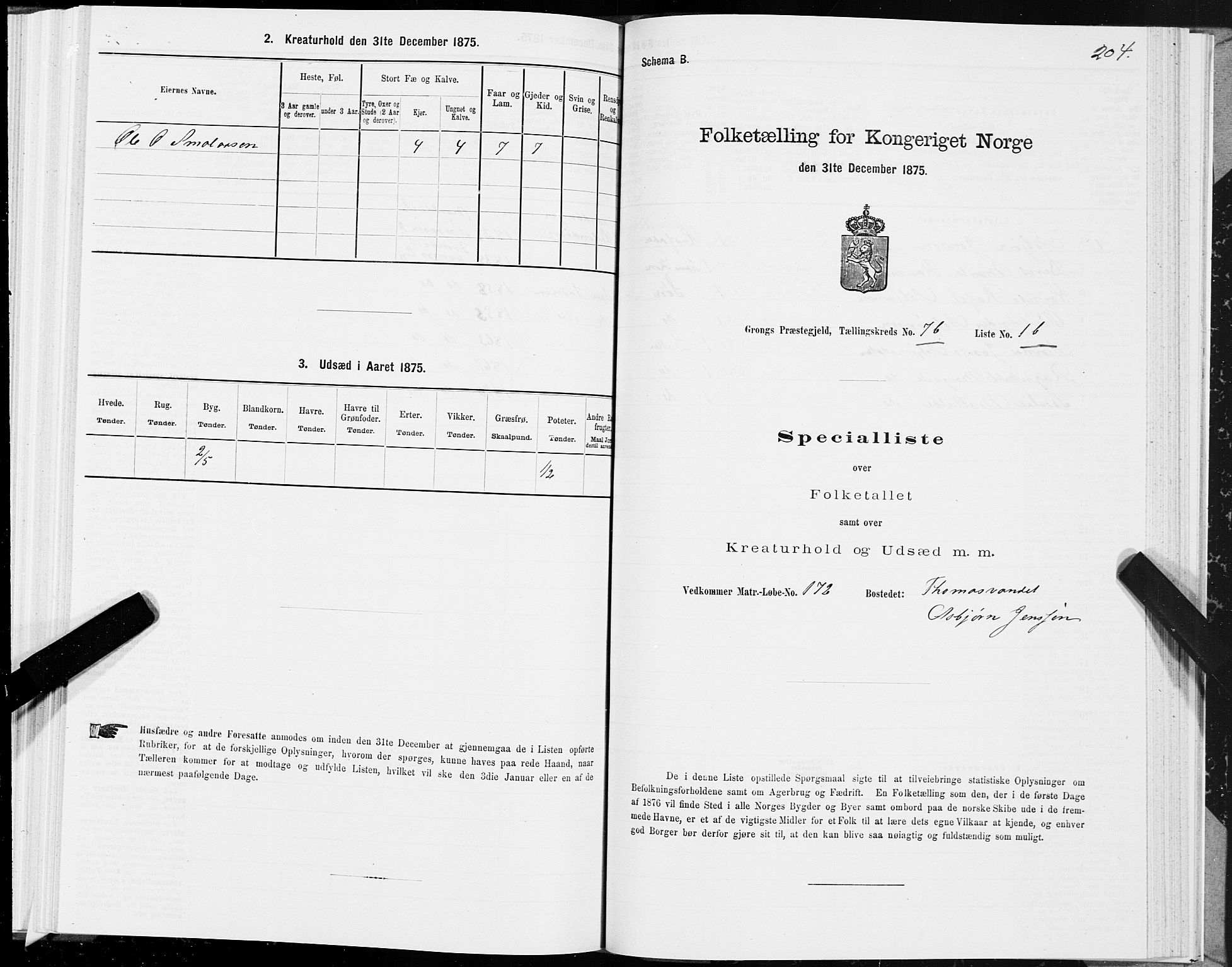 SAT, Folketelling 1875 for 1742P Grong prestegjeld, 1875, s. 4204