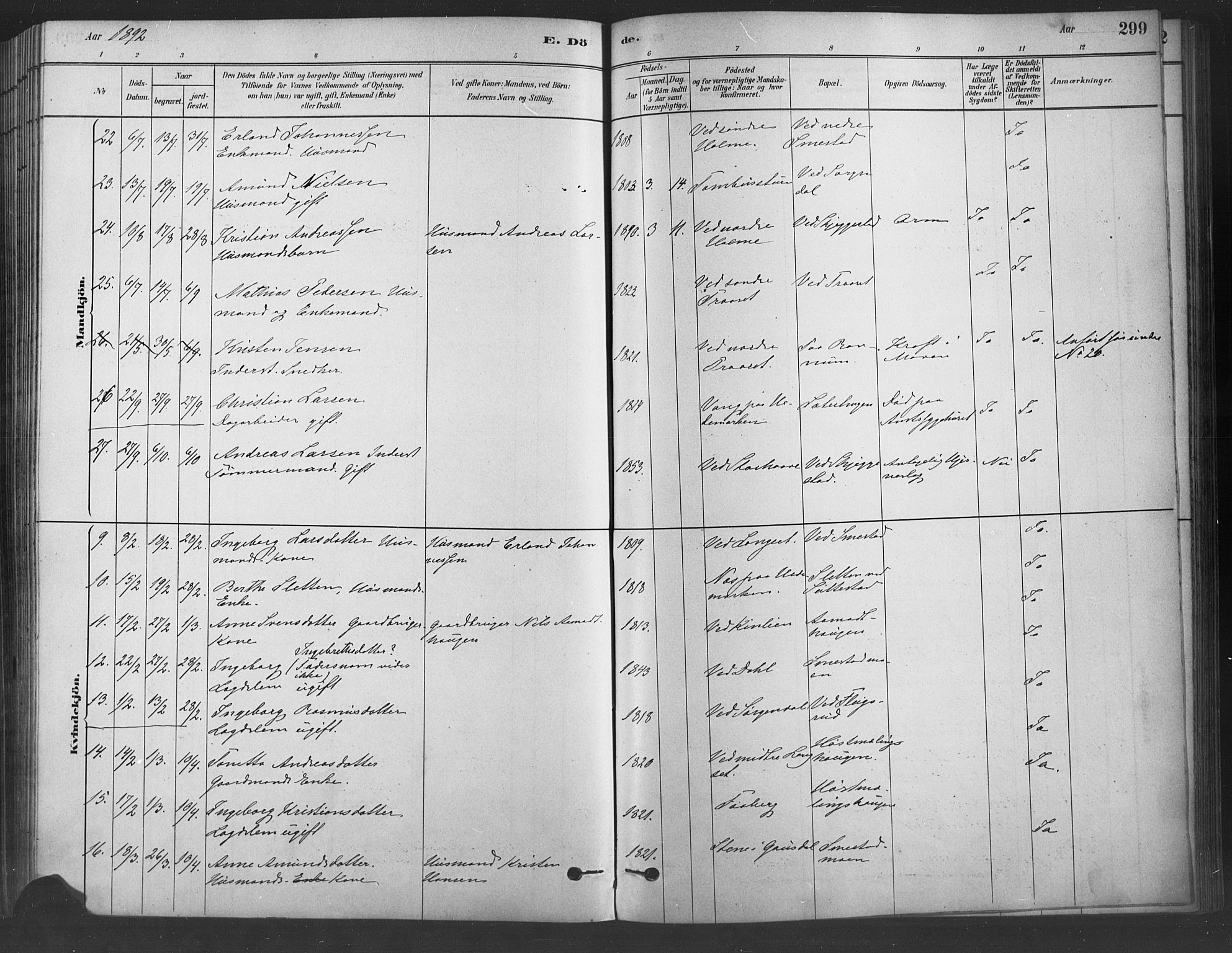 Fåberg prestekontor, SAH/PREST-086/H/Ha/Haa/L0009: Ministerialbok nr. 9, 1879-1898, s. 299