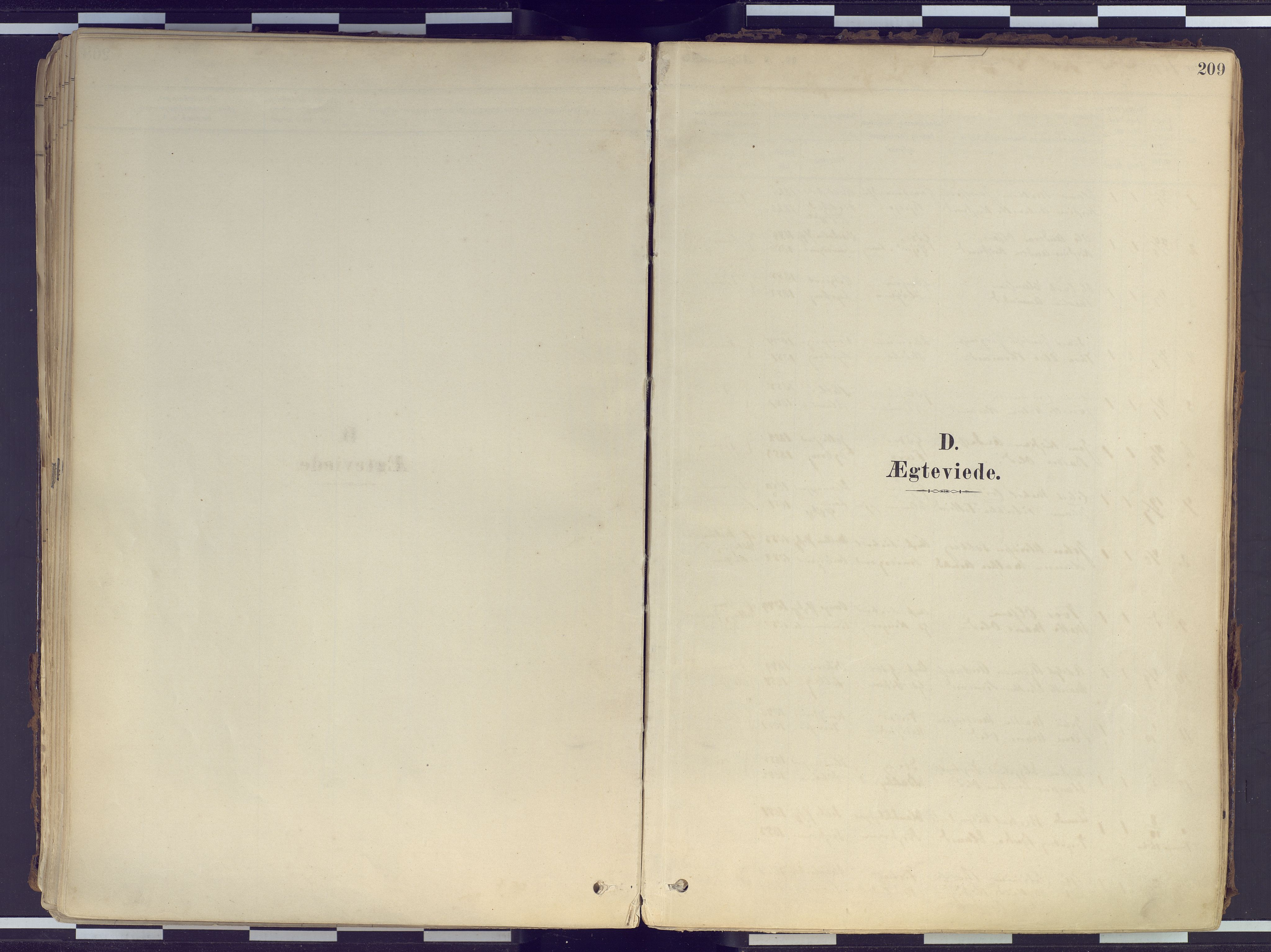 Tranøy sokneprestkontor, AV/SATØ-S-1313/I/Ia/Iaa/L0010kirke: Ministerialbok nr. 10, 1878-1904, s. 209