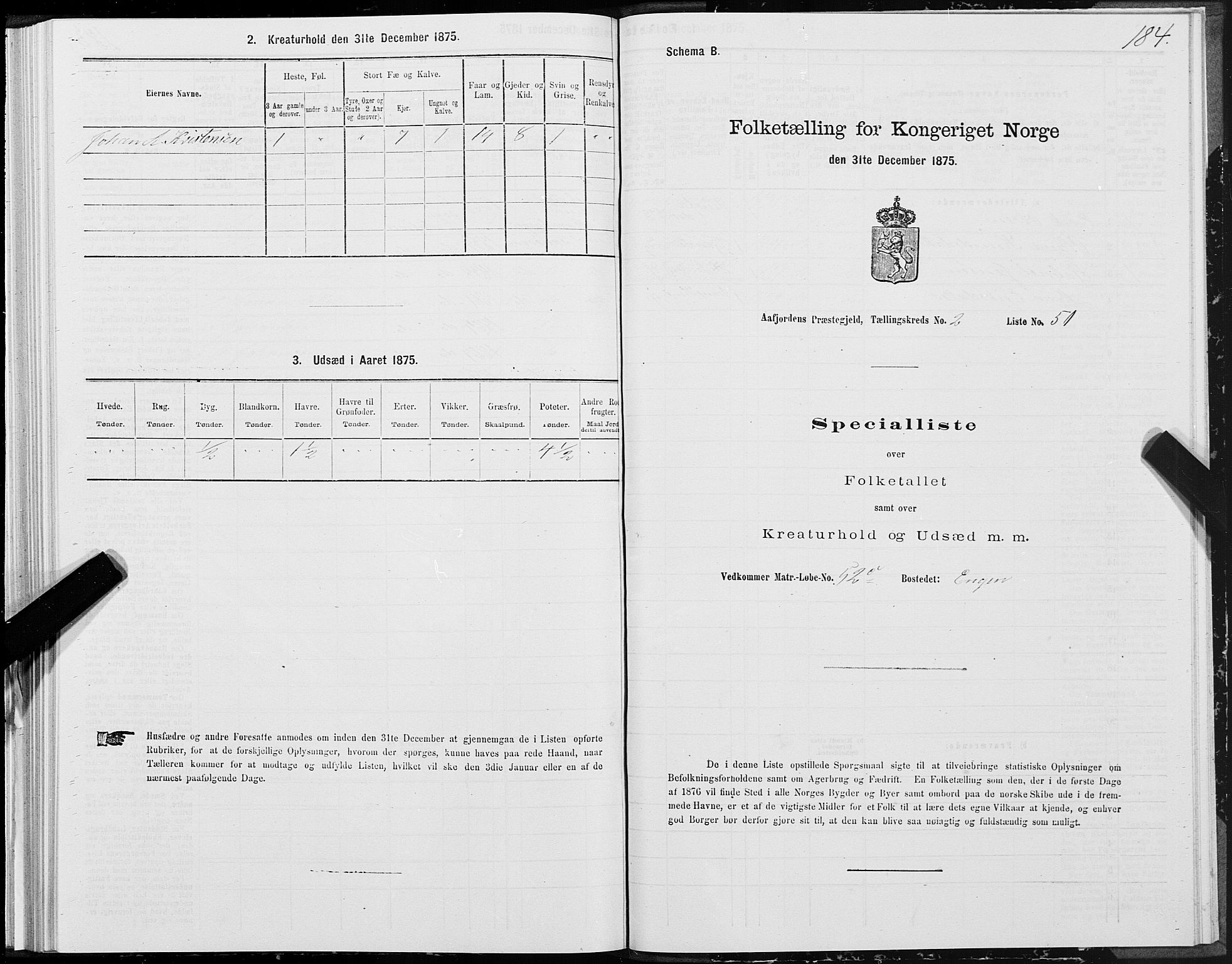 SAT, Folketelling 1875 for 1630P Aafjorden prestegjeld, 1875, s. 1184