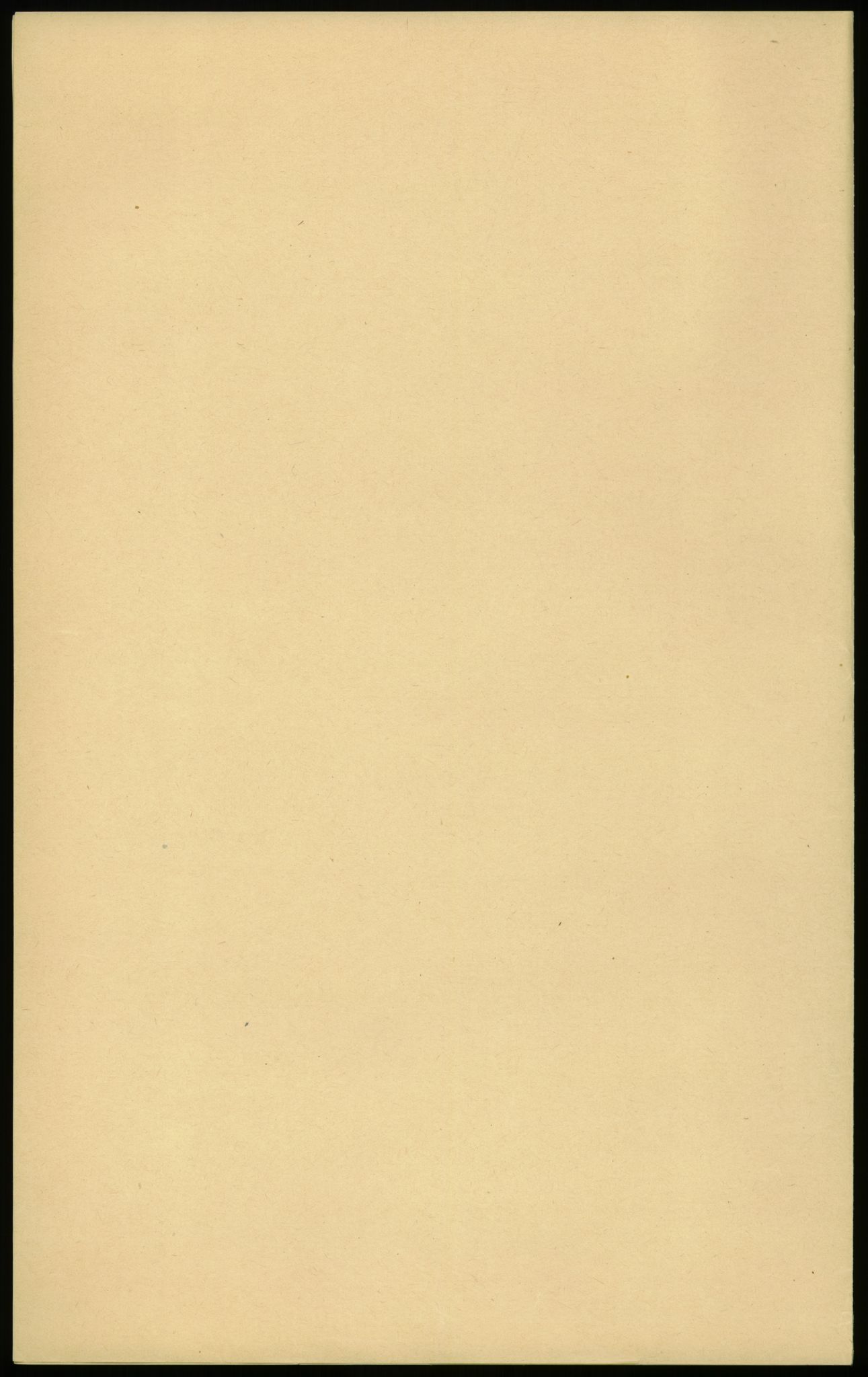 Samlinger til kildeutgivelse, Amerikabrevene, AV/RA-EA-4057/F/L0013: Innlån fra Oppland: Lie (brevnr 79-115) - Nordrum, 1838-1914, s. 216