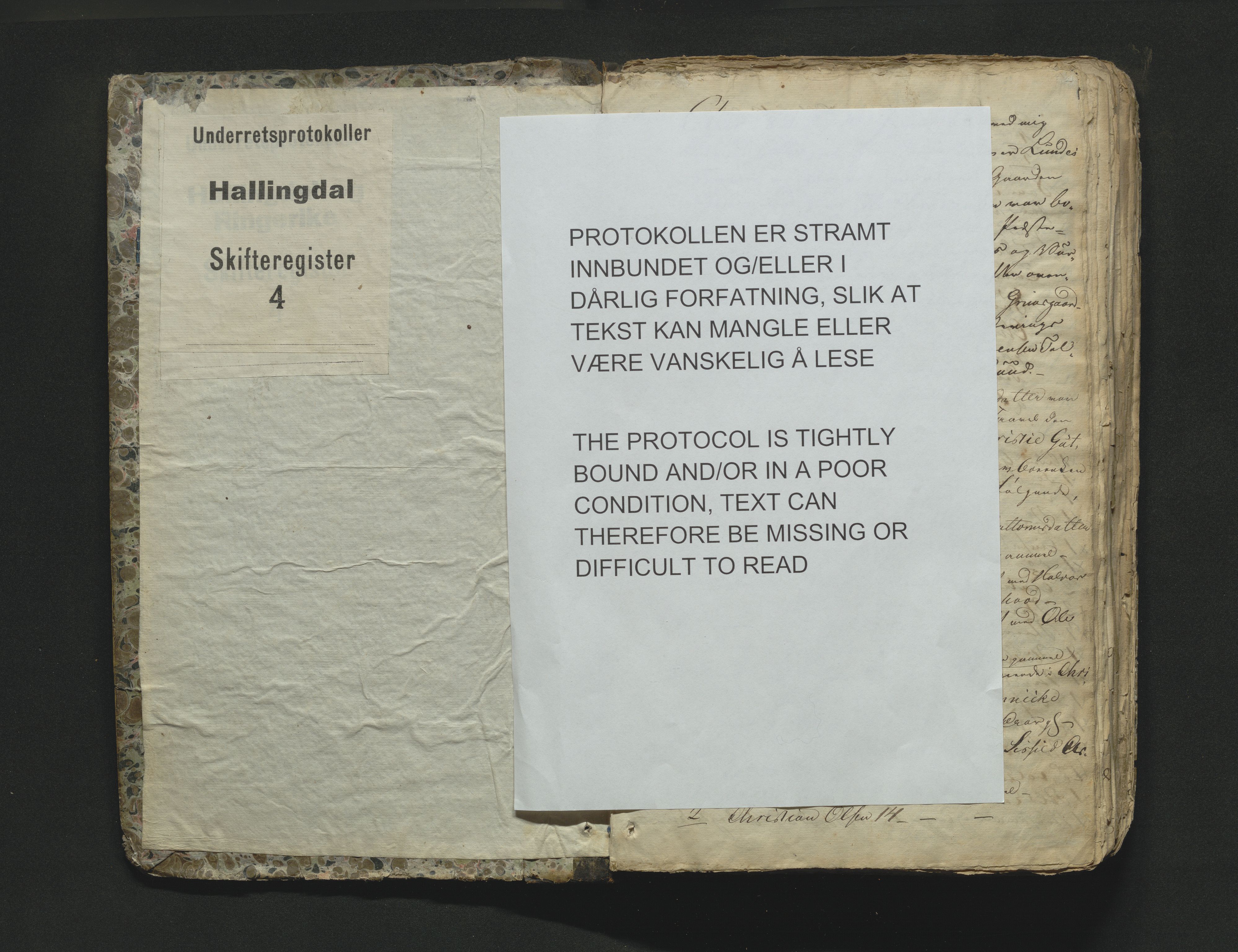 Hallingdal sorenskriveri, SAKO/A-121/H/Hb/Hbb/Hbba/L0004: Skifteregistreringsprotokoll, Sorenskriveriet, 1831