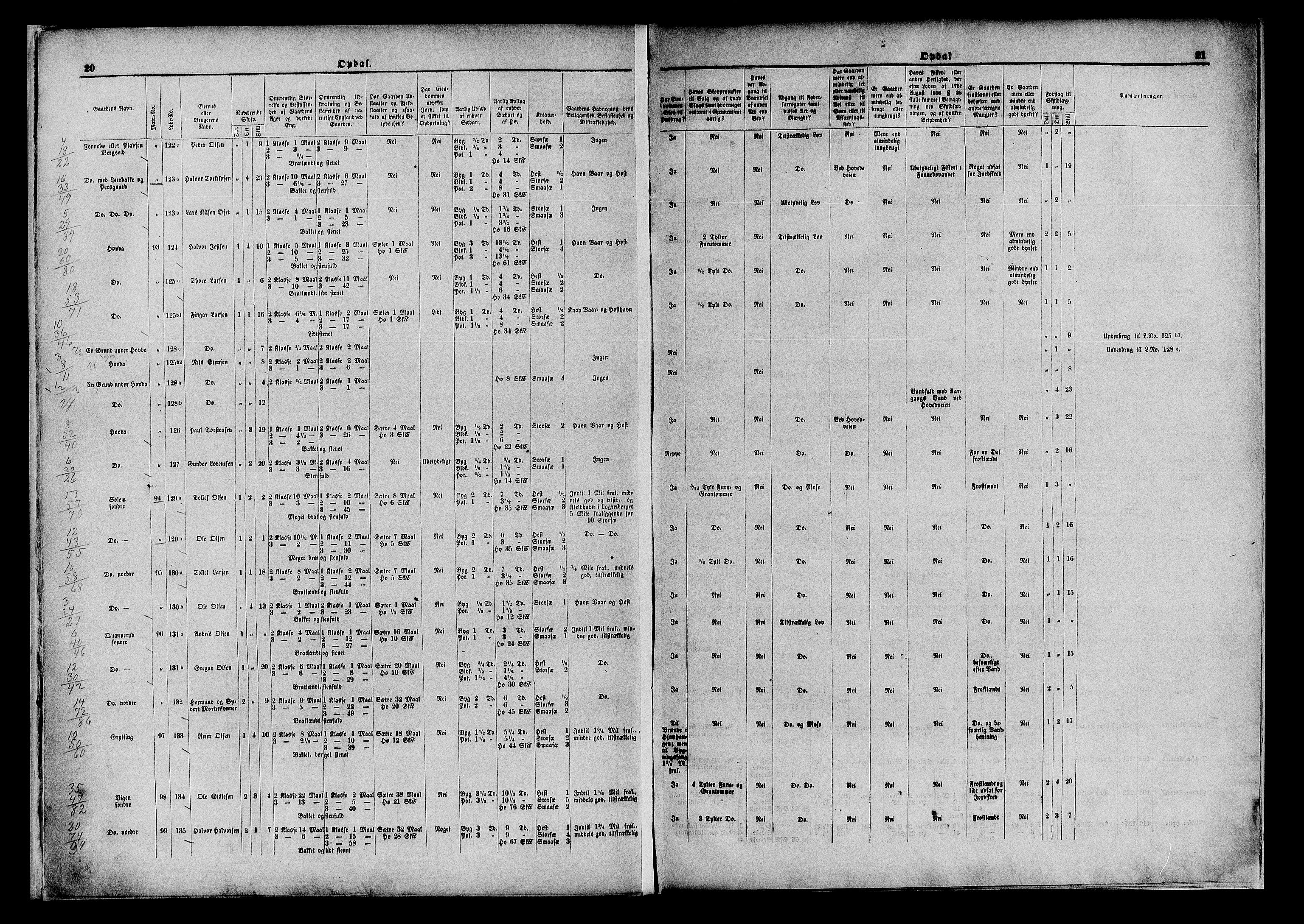 Matrikkelrevisjonen av 1863, AV/RA-S-1530/F/Fe/L0106/0002: Nore (Uvdal) / II. Med endringer av Herredskommisjonen, 1863