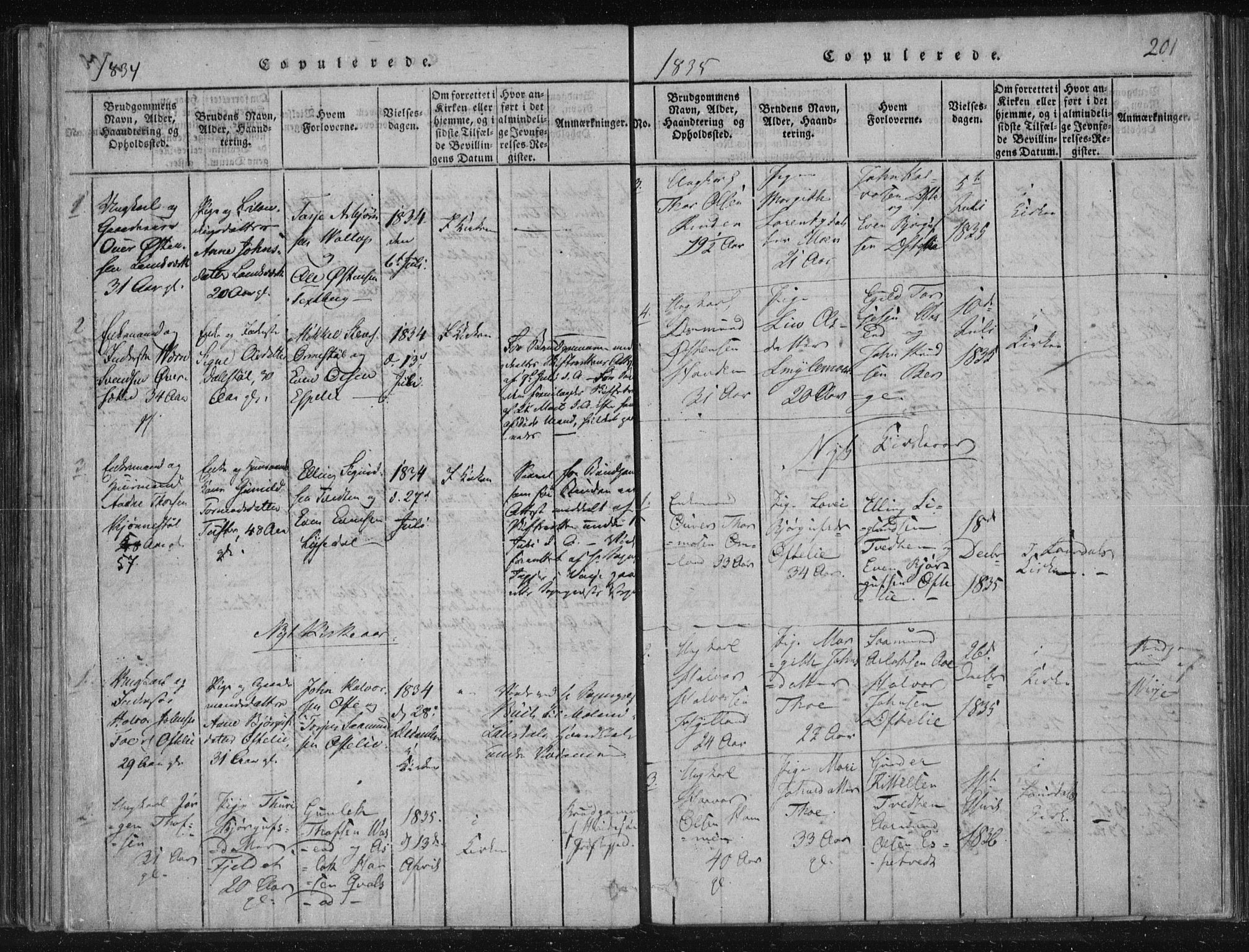 Lårdal kirkebøker, SAKO/A-284/F/Fc/L0001: Ministerialbok nr. III 1, 1815-1860, s. 201