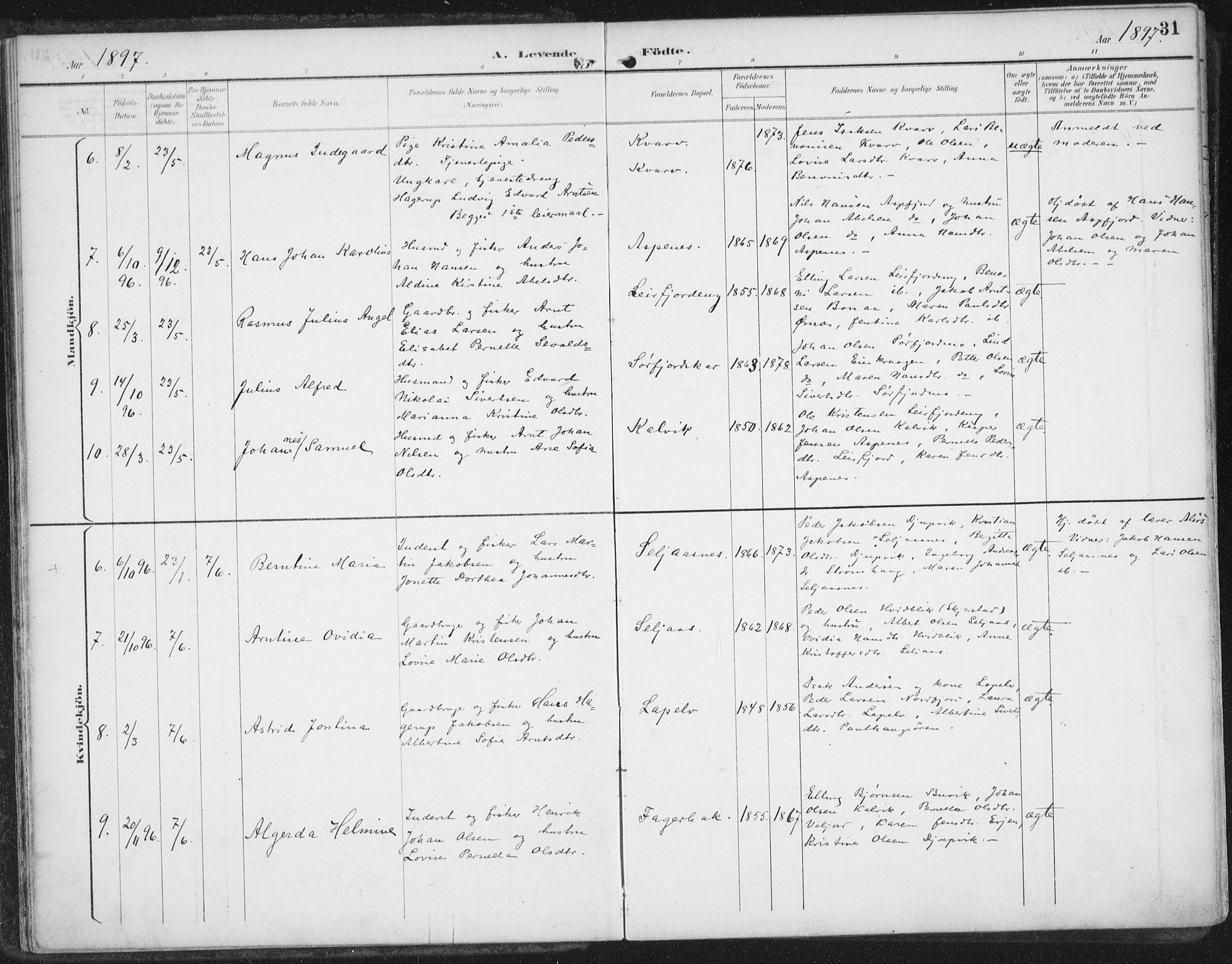 Ministerialprotokoller, klokkerbøker og fødselsregistre - Nordland, AV/SAT-A-1459/854/L0779: Ministerialbok nr. 854A02, 1892-1909, s. 31