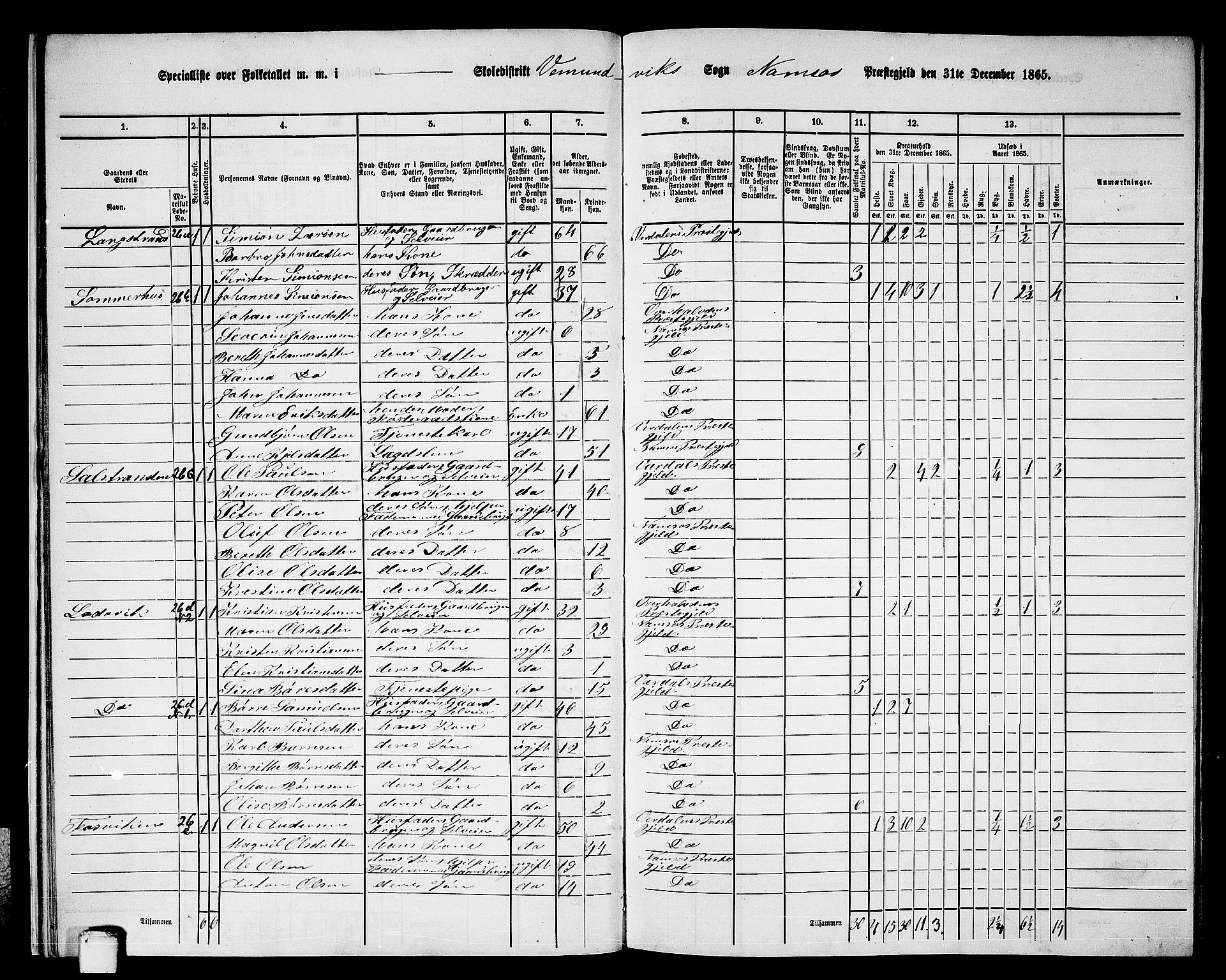 RA, Folketelling 1865 for 1745L Namsos prestegjeld, Vemundvik sokn og Sævik sokn, 1865, s. 16