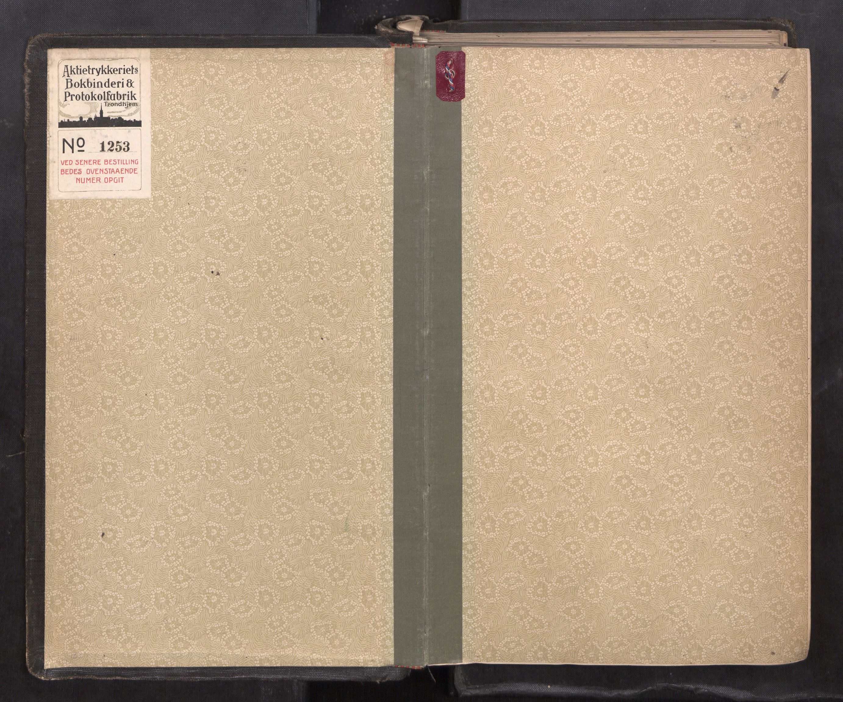 Strinda og Selbu sorenskriveri, SAT/A-0015/1/1B/L0023: Ekstrarettsprotokoll, 1920-1923