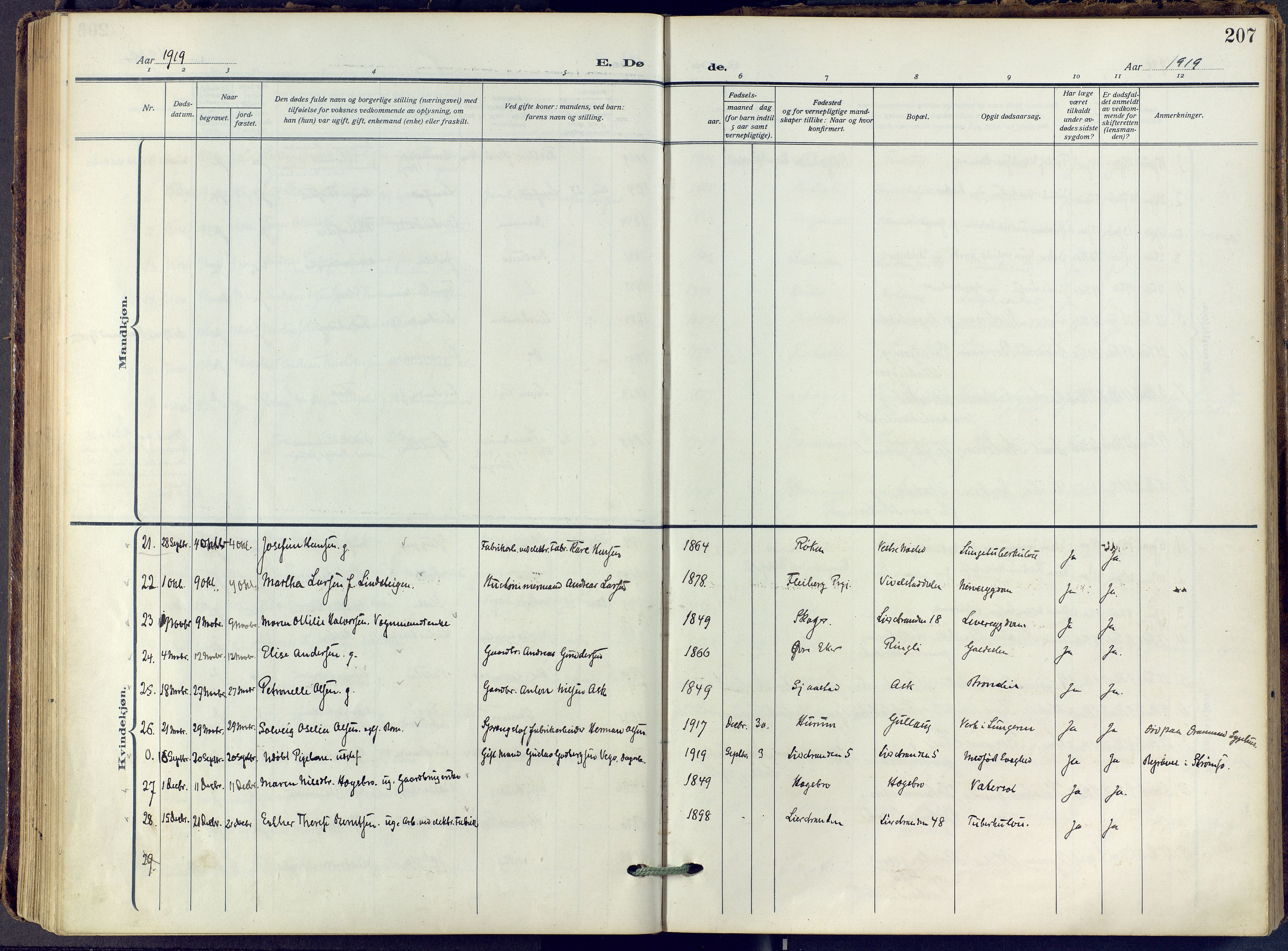 Lier kirkebøker, AV/SAKO-A-230/F/Fa/L0019: Ministerialbok nr. I 19, 1918-1928, s. 207