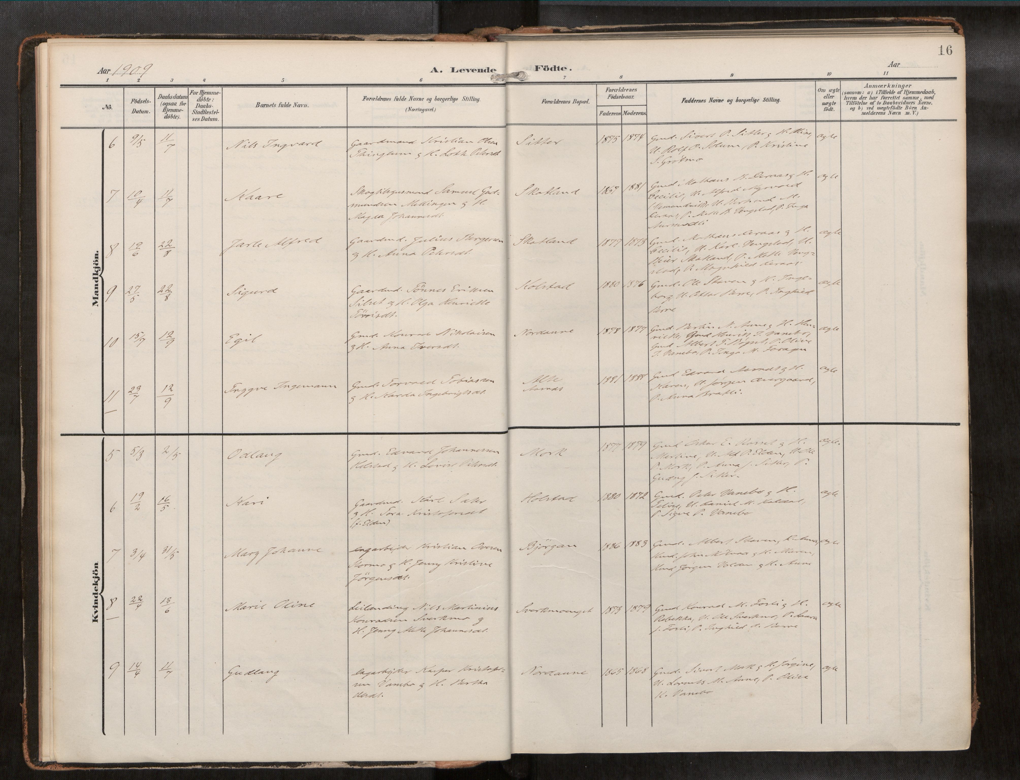 Ministerialprotokoller, klokkerbøker og fødselsregistre - Nord-Trøndelag, AV/SAT-A-1458/742/L0409a: Ministerialbok nr. 742A03, 1906-1924, s. 16