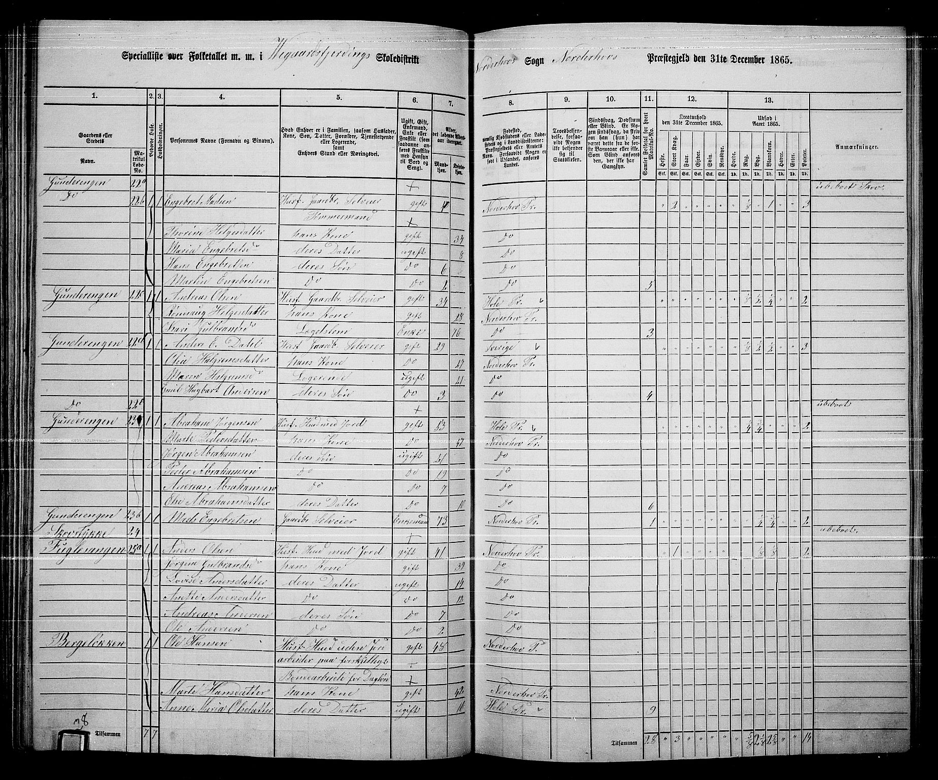 RA, Folketelling 1865 for 0613L Norderhov prestegjeld, Norderhov sokn, Haug sokn og Lunder sokn, 1865, s. 118