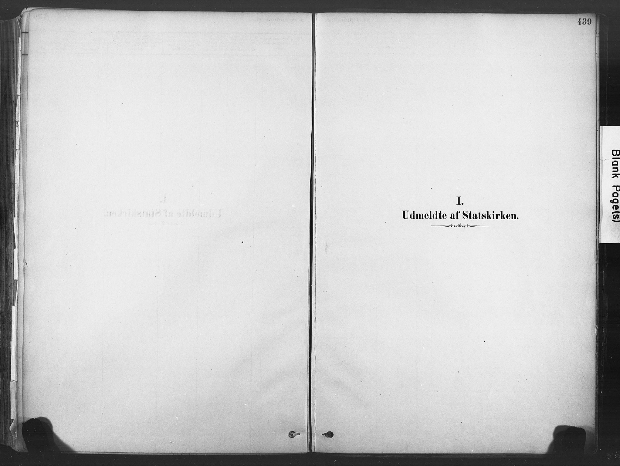 Sandsvær kirkebøker, SAKO/A-244/F/Fd/L0001: Ministerialbok nr. IV 1, 1878-1906, s. 439
