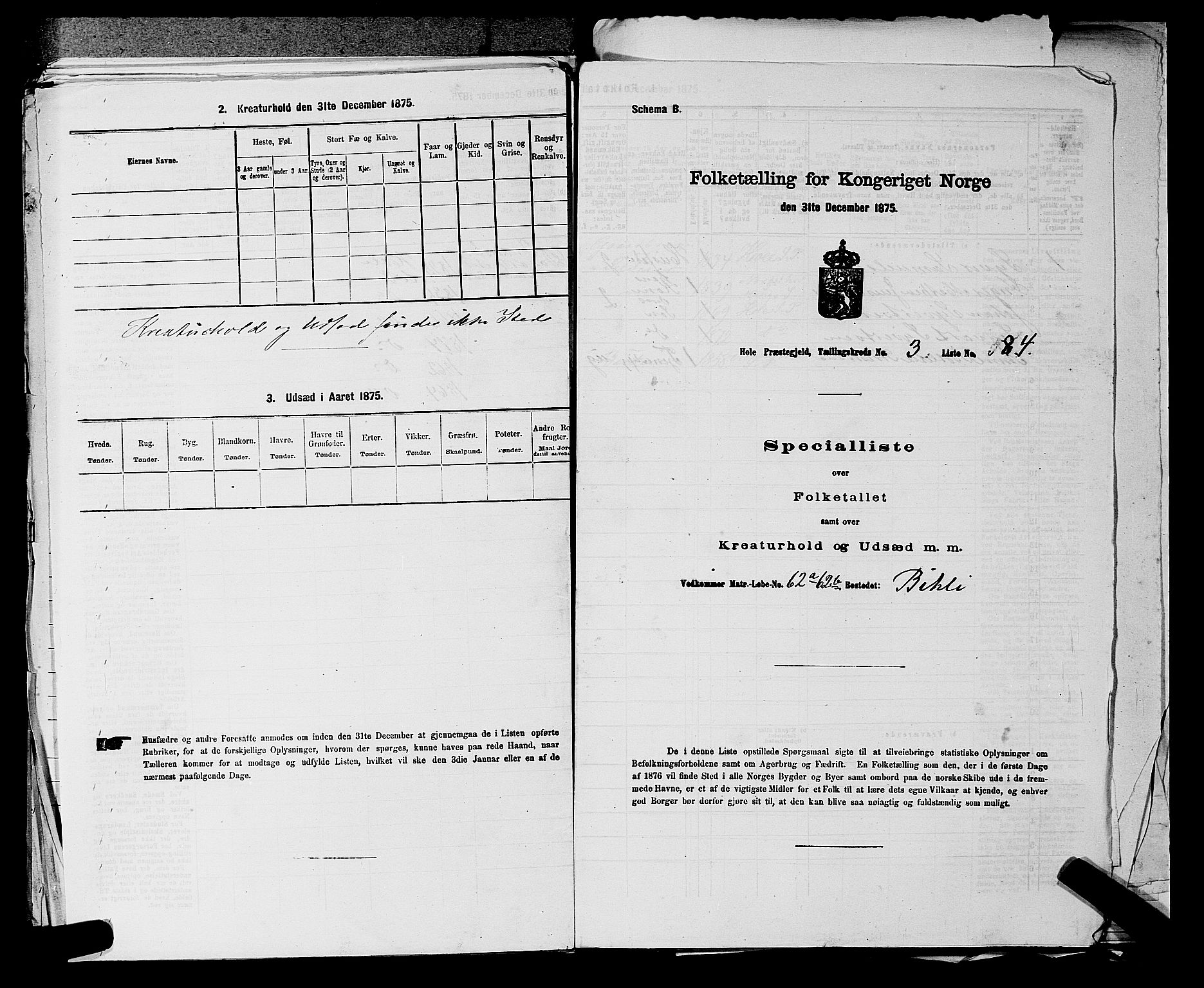 SAKO, Folketelling 1875 for 0612P Hole prestegjeld, 1875, s. 627