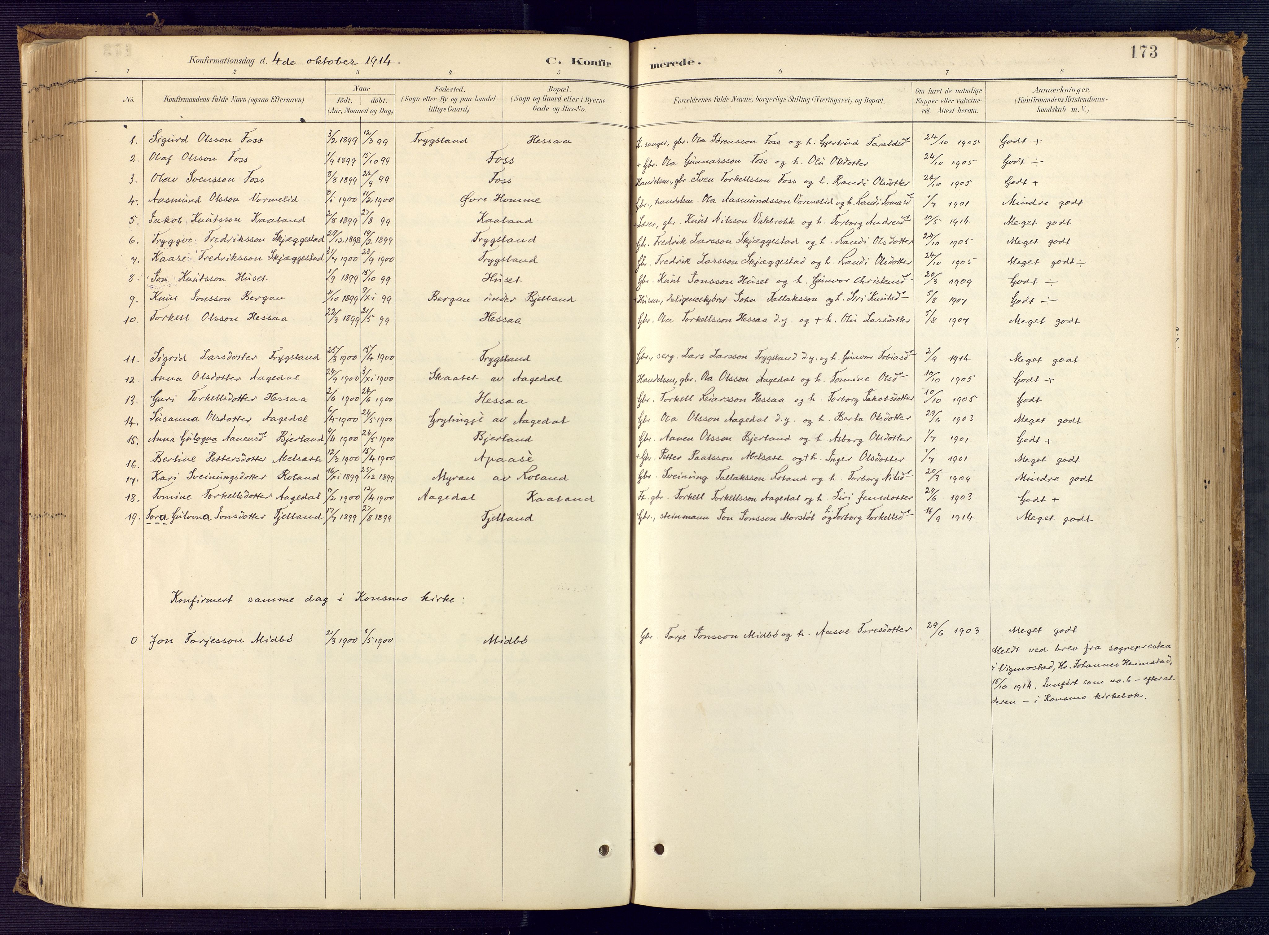 Bjelland sokneprestkontor, SAK/1111-0005/F/Fa/Faa/L0004: Ministerialbok nr. A 4, 1887-1923, s. 173