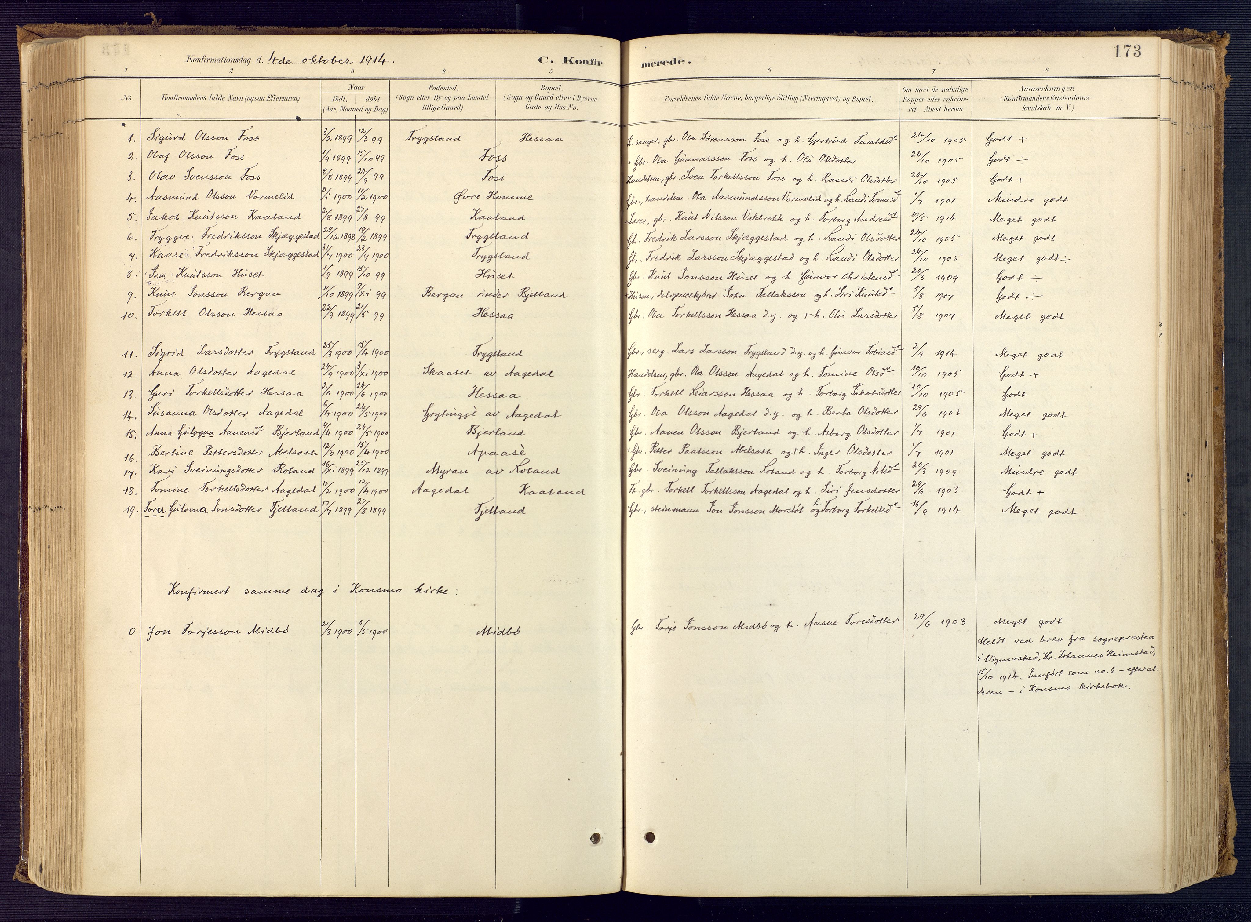 Bjelland sokneprestkontor, AV/SAK-1111-0005/F/Fa/Faa/L0004: Ministerialbok nr. A 4, 1887-1923, s. 173