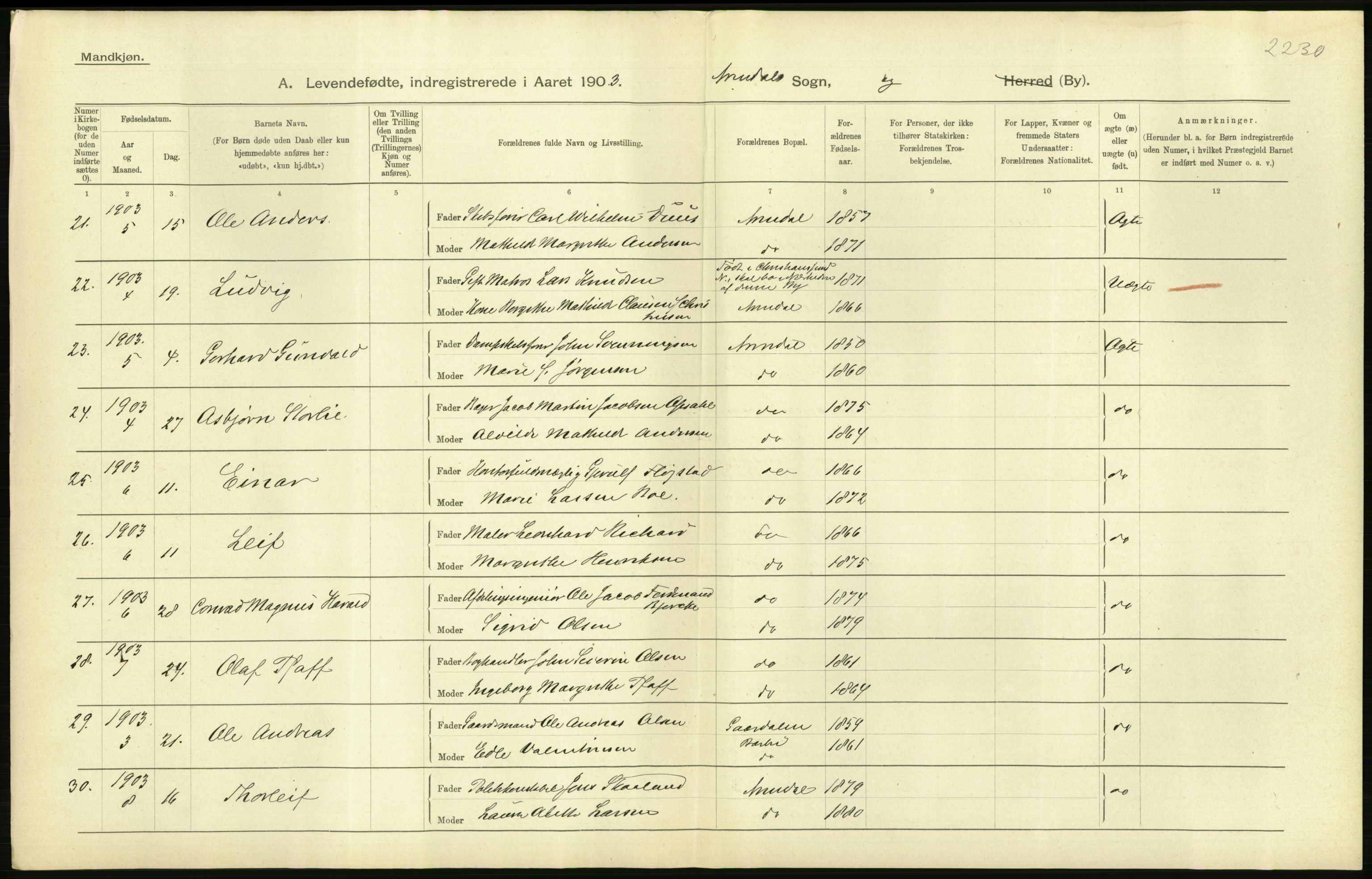 Statistisk sentralbyrå, Sosiodemografiske emner, Befolkning, AV/RA-S-2228/D/Df/Dfa/Dfaa/L0010: Nedenes amt: Fødte, gifte, døde, 1903, s. 254