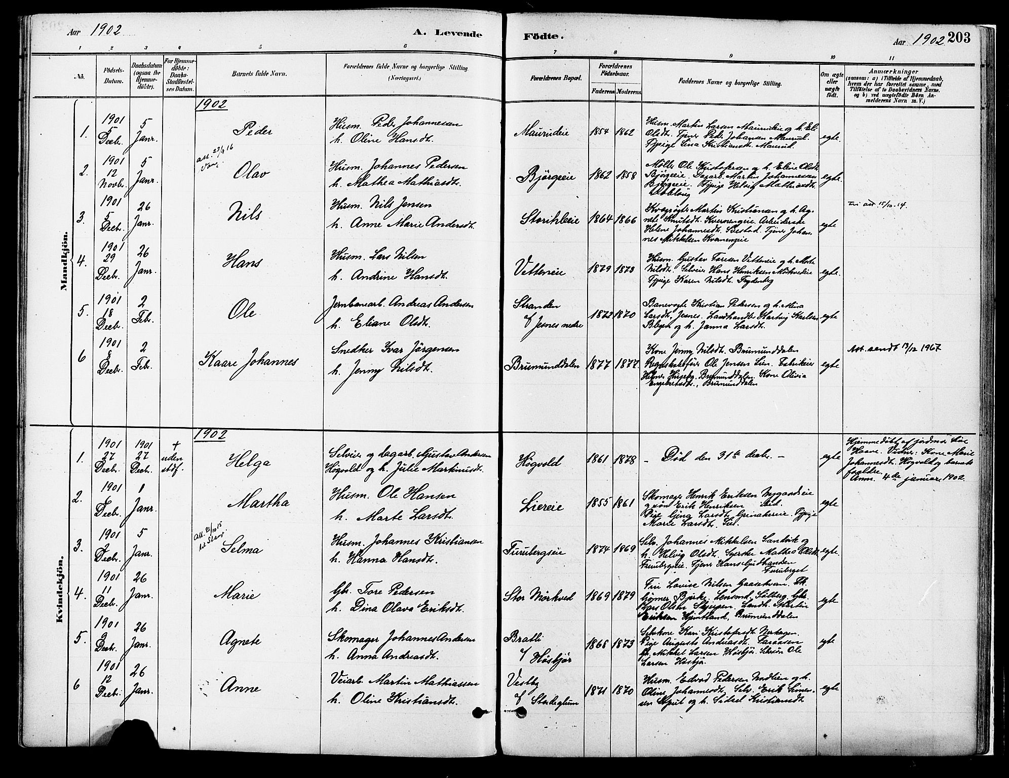 Vang prestekontor, Hedmark, AV/SAH-PREST-008/H/Ha/Haa/L0018A: Ministerialbok nr. 18A, 1880-1906, s. 203